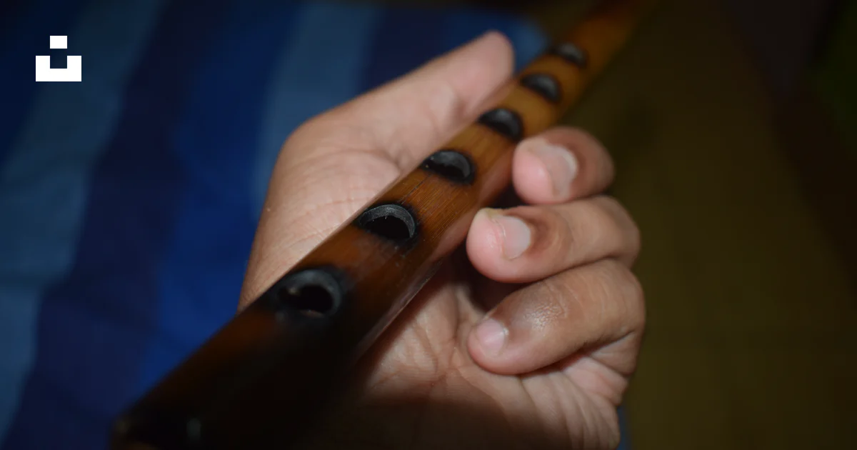 House Hand Instrument A close up of a person holding a musical instrument photo – Free ...