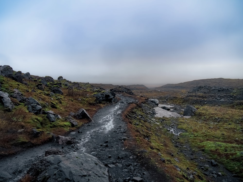 a small stream running through a rocky field