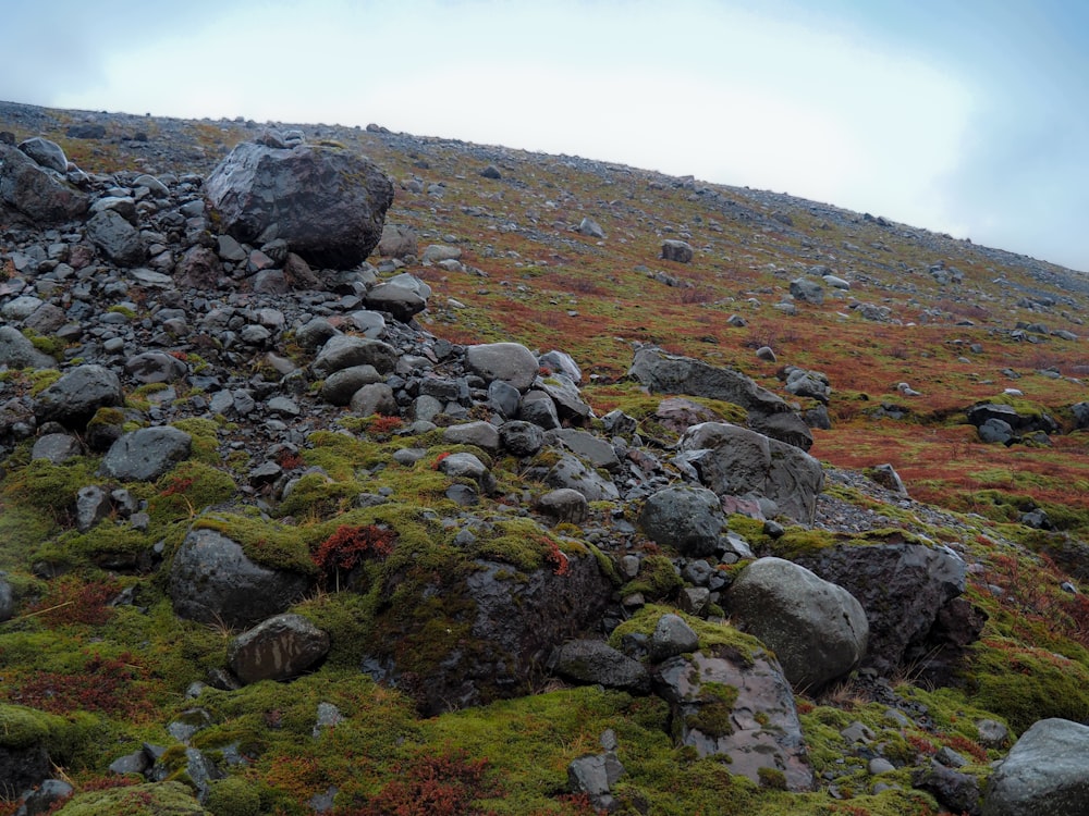 a rocky hillside covered in moss and rocks
