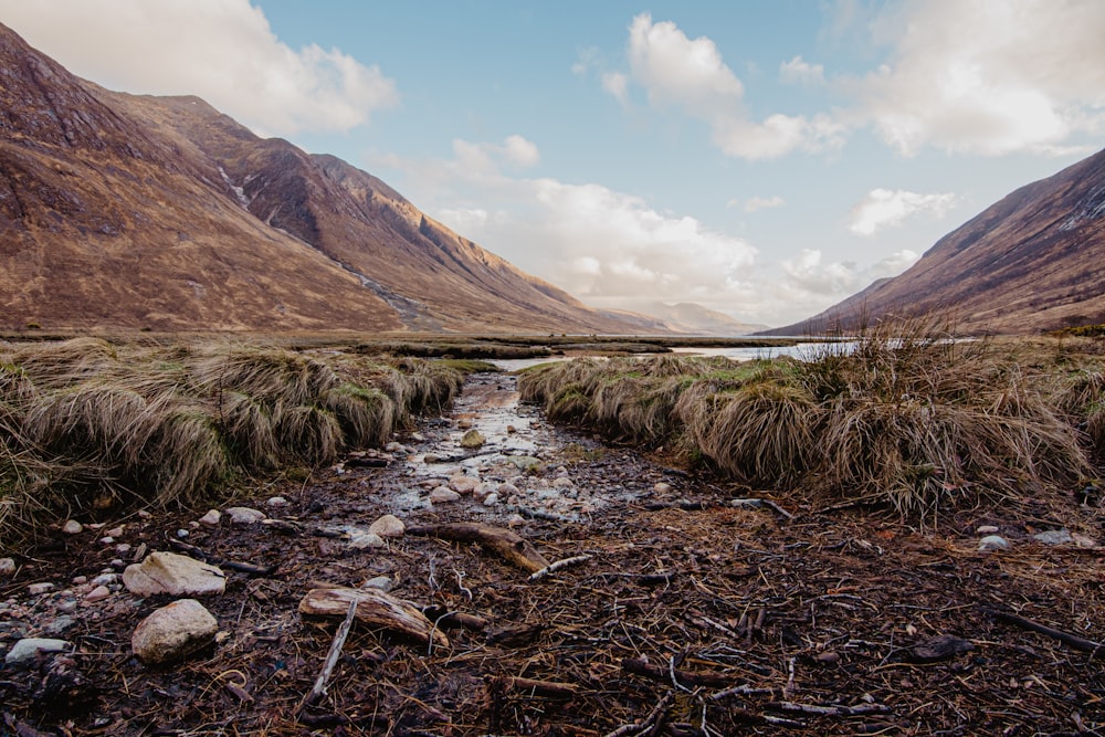 a stream running through a valley with mountains in the background