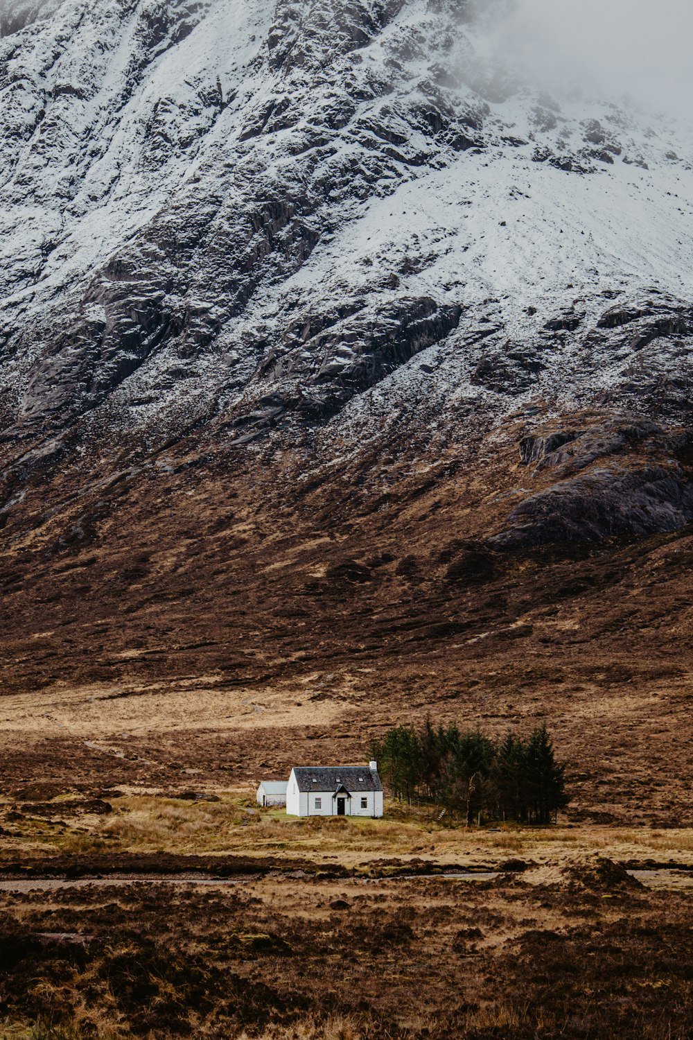 a house in the middle of a field with a mountain in the background