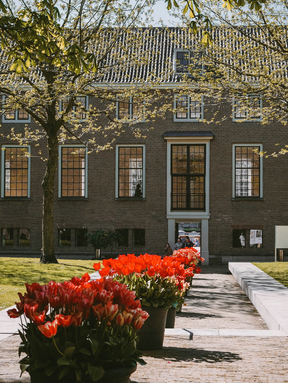 a row of flower pots sitting in front of a building