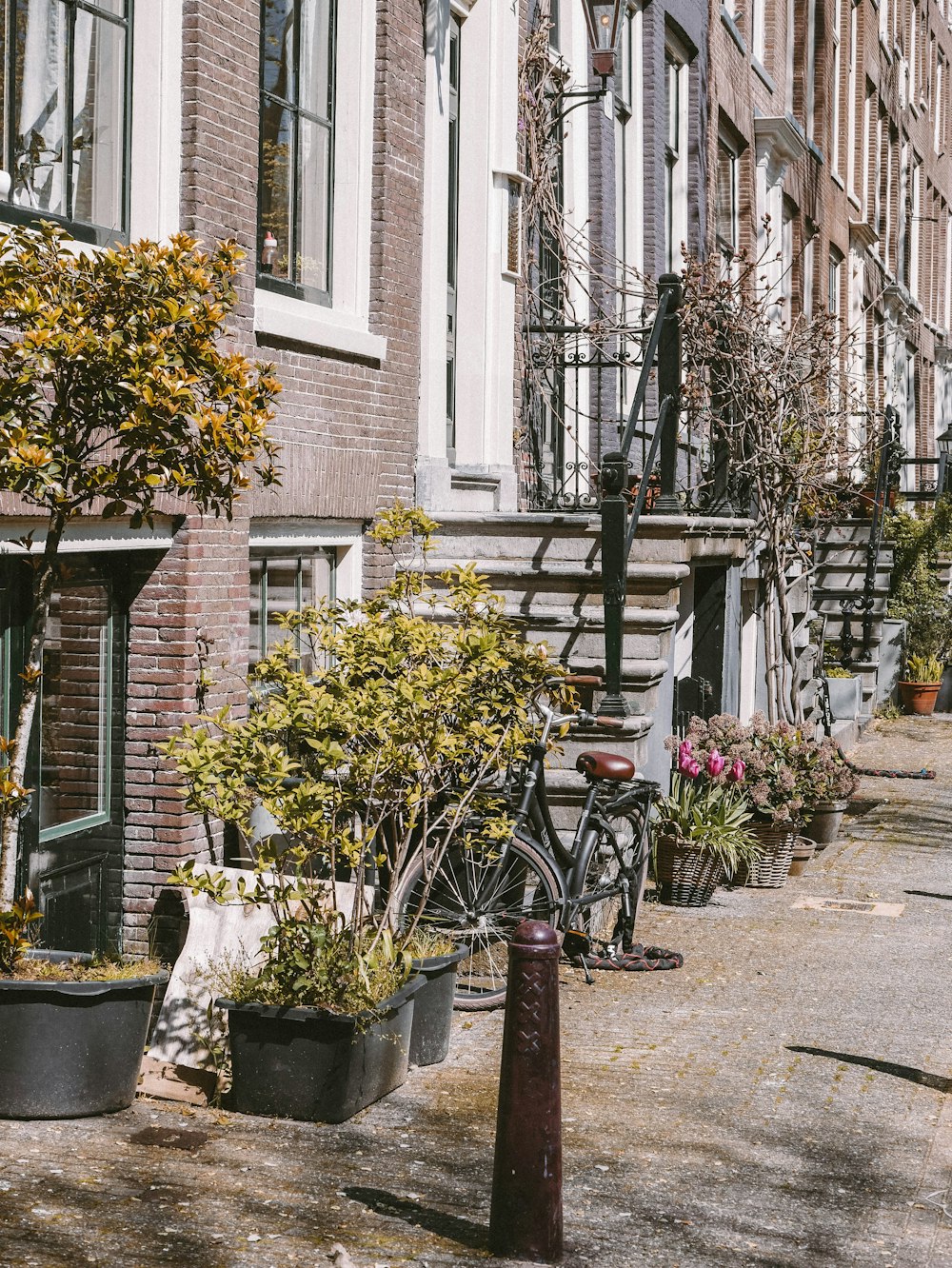 a bicycle parked next to a tree in front of a building