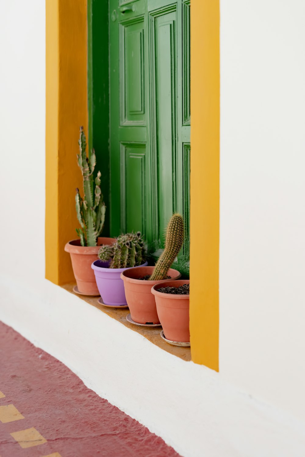 a green door with three potted plants in front of it