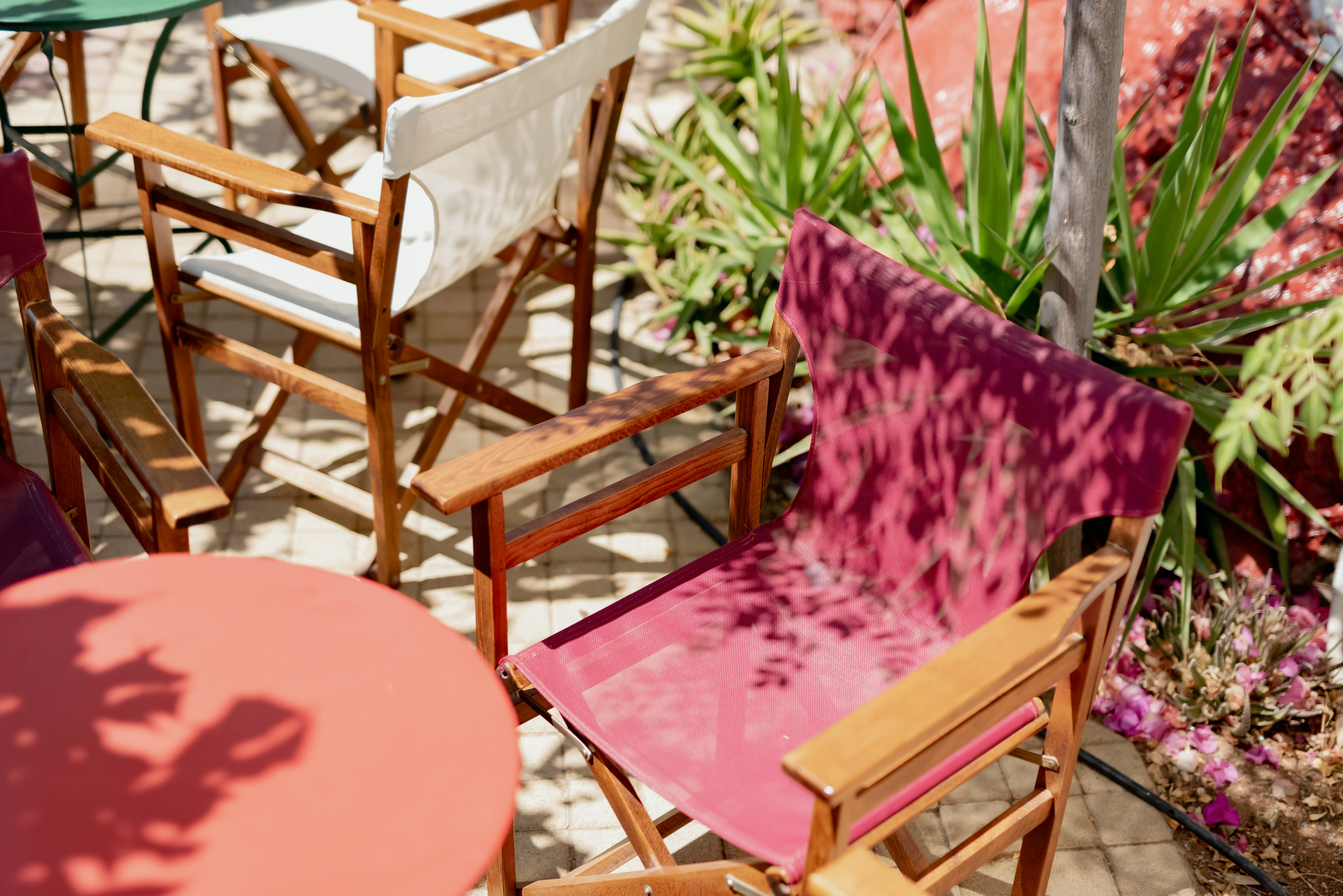 Photo by lauraadaiphoto