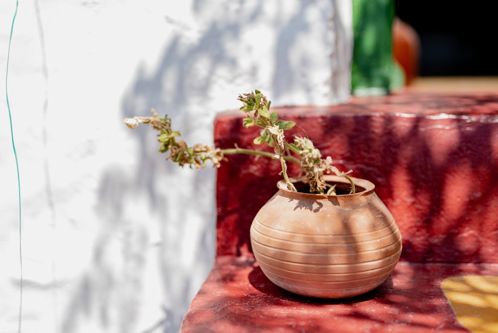 a vase with a plant in it sitting on a table