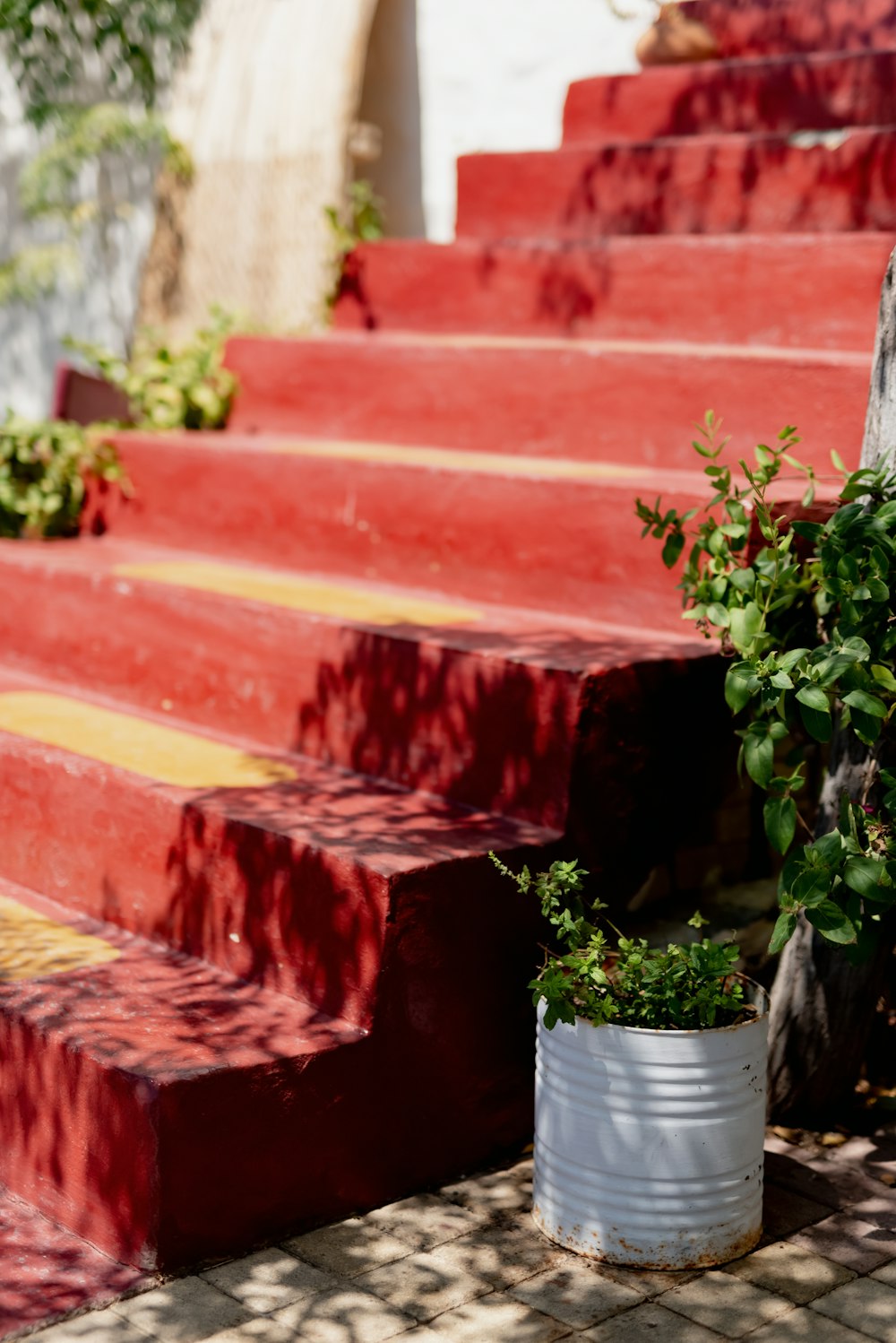 a potted plant sitting on the steps of a house