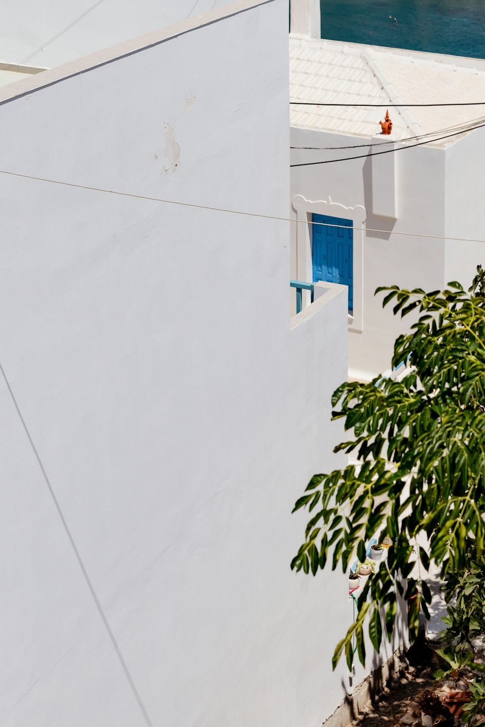 a white building with a blue door next to a body of water