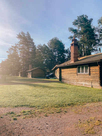 A warm, inviting cabin surrounded by tall pine trees with soft morning sunlight filtering through.