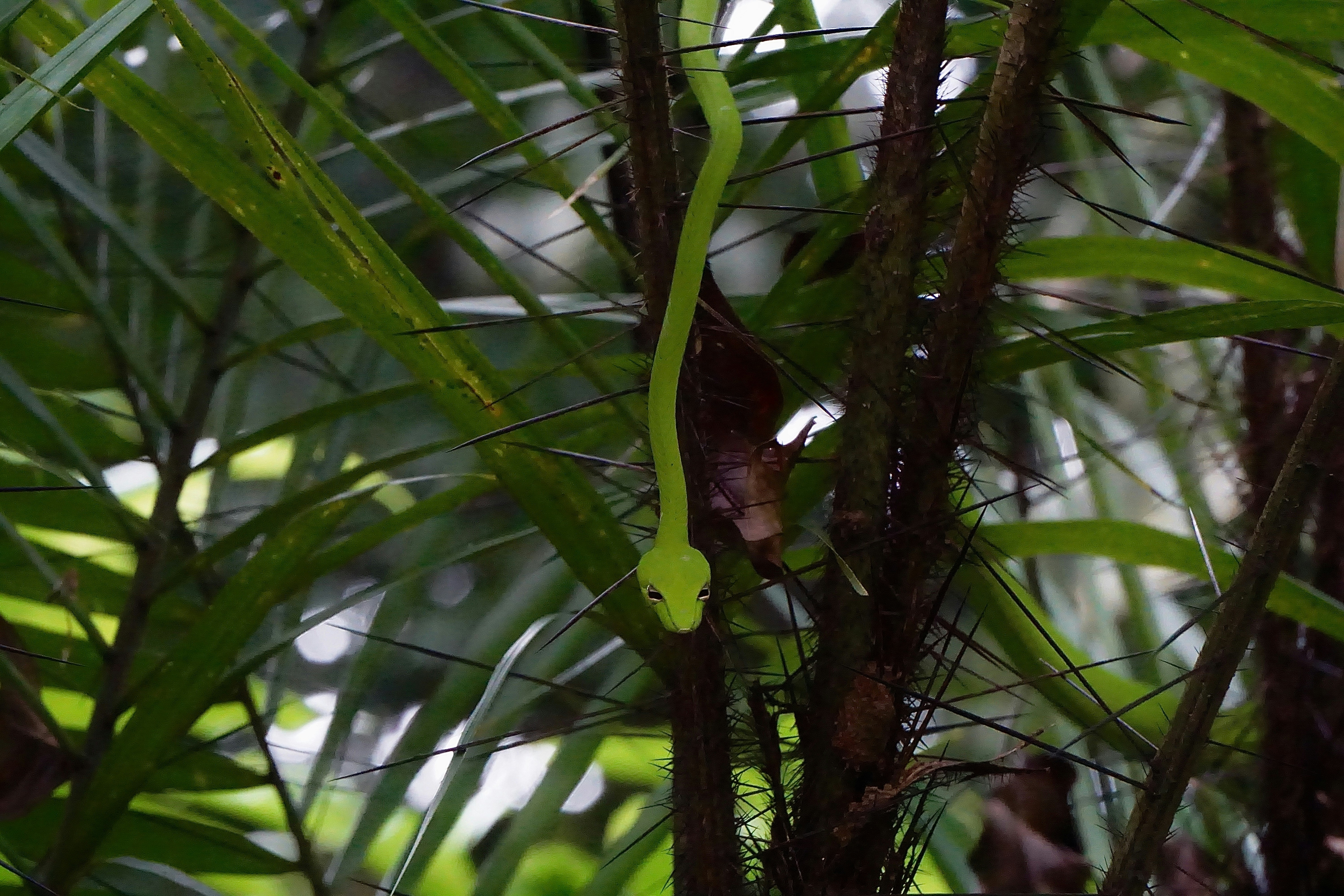 Photo by lucaakafalco