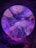 Vibrant, colorful marine life with flowing tentacles and anemones inside a circular aquarium display. The scene is illuminated with purple and blue lighting, creating an ethereal and underwater atmosphere. The bright colors of the sea creatures contrast with the darker surroundings.