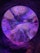 Vibrant, colorful marine life with flowing tentacles and anemones inside a circular aquarium display. The scene is illuminated with purple and blue lighting, creating an ethereal and underwater atmosphere. The bright colors of the sea creatures contrast with the darker surroundings.