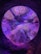 Vibrant, colorful marine life with flowing tentacles and anemones inside a circular aquarium display. The scene is illuminated with purple and blue lighting, creating an ethereal and underwater atmosphere. The bright colors of the sea creatures contrast with the darker surroundings.