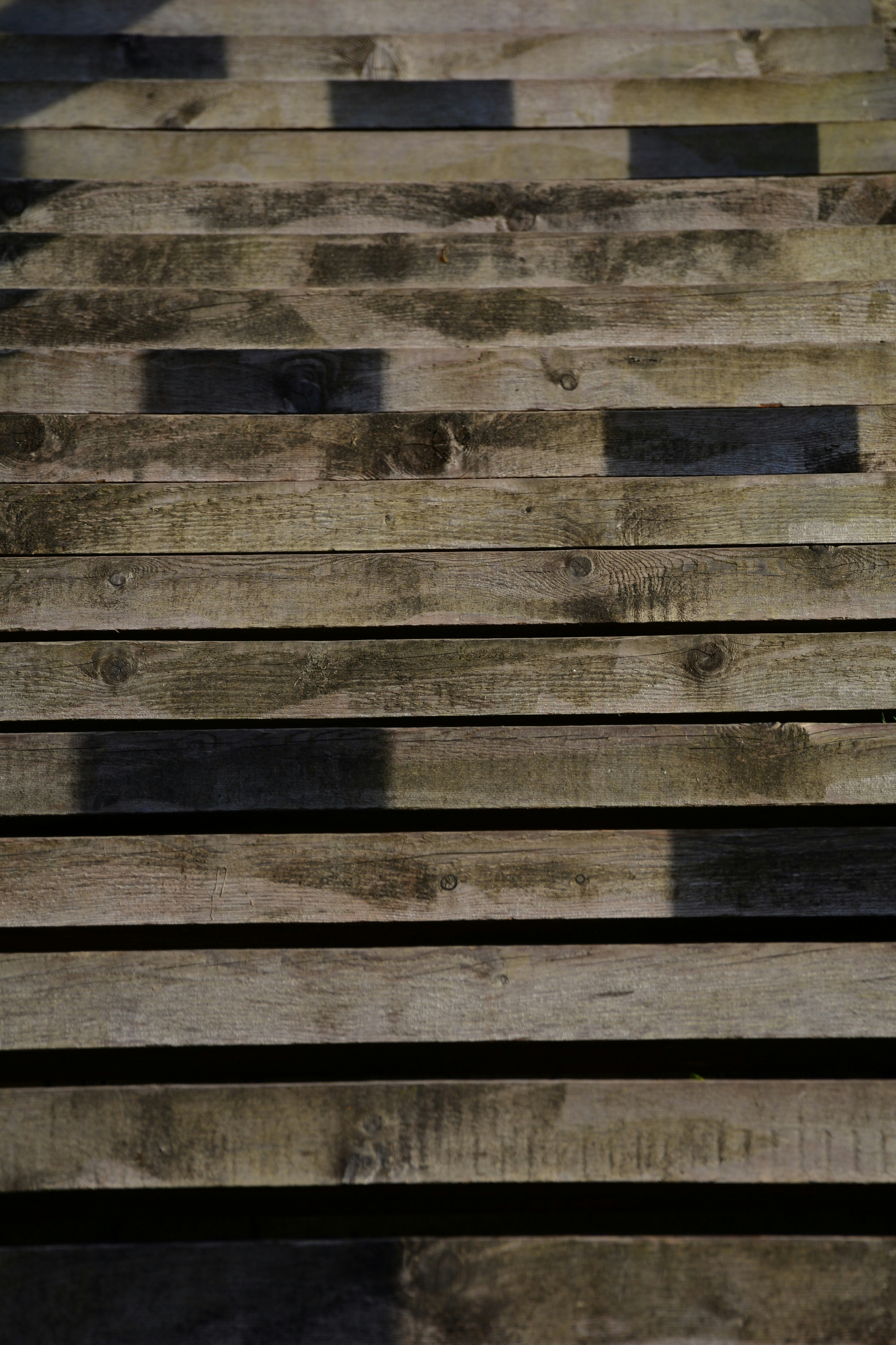 Photo by nina_locher