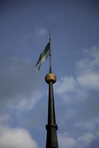 A sturdy fiberglass flagpole with a gleaming finish set in a residential garden.