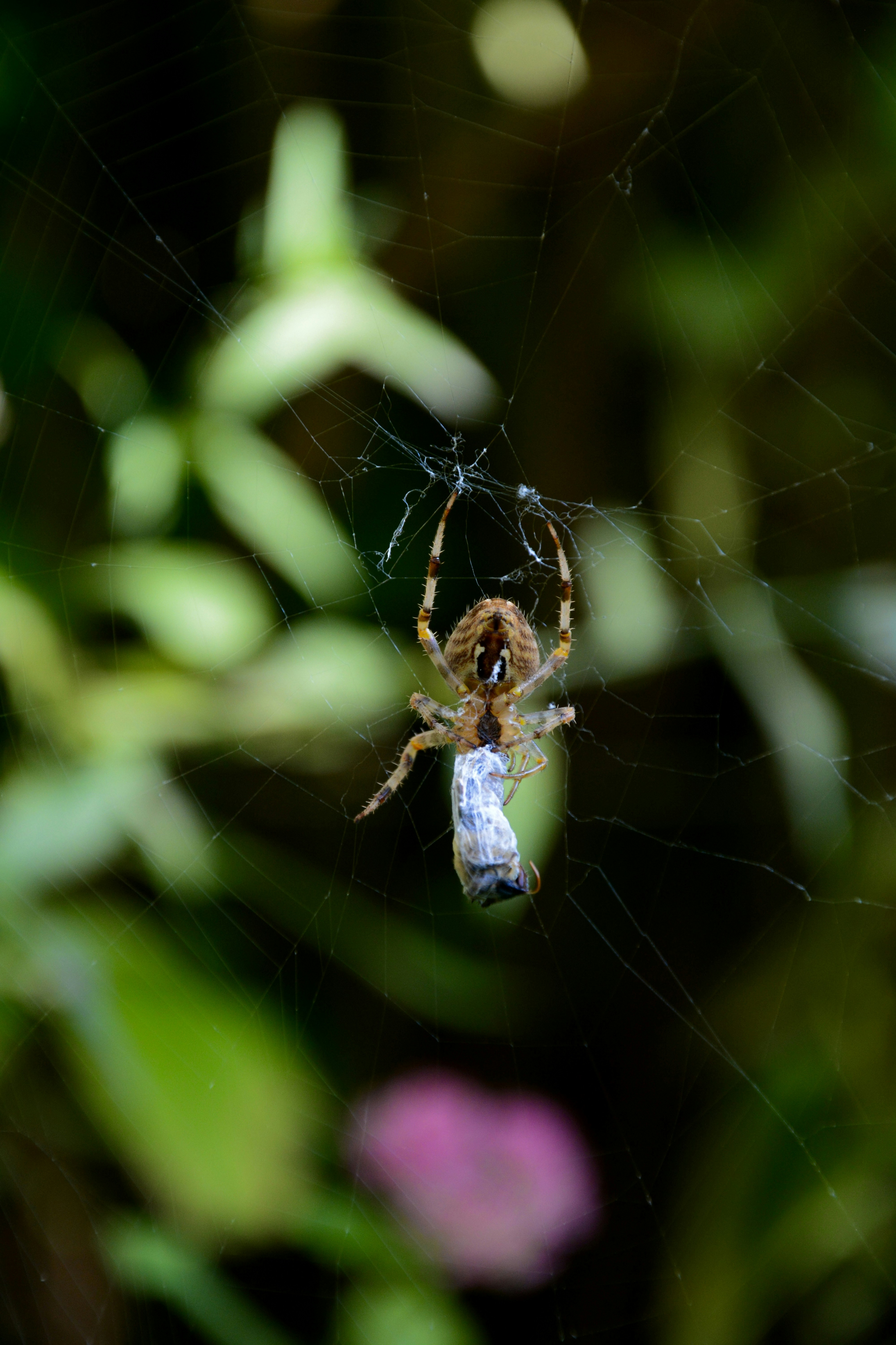 Photo by nina_locher