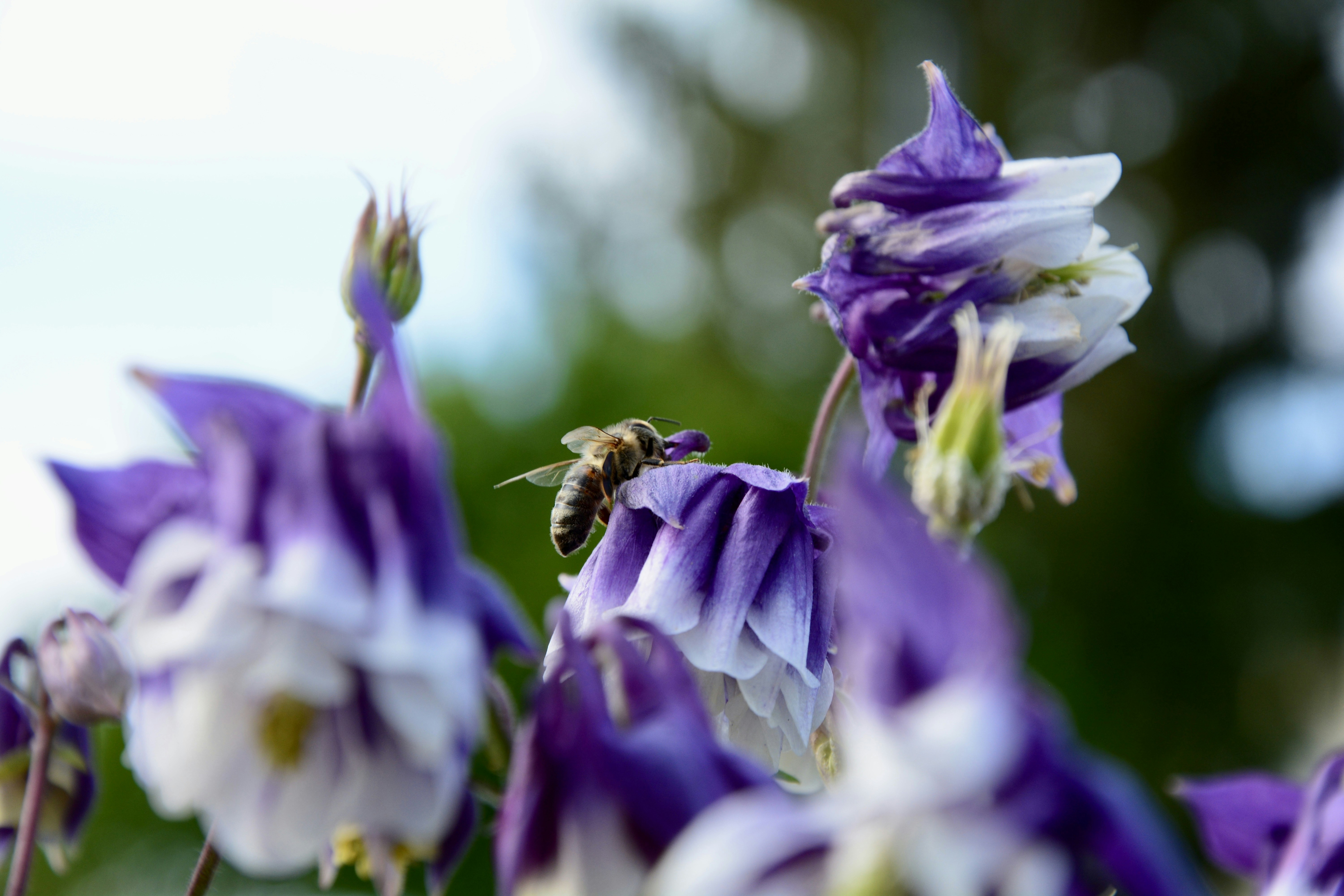 Photo by nina_locher