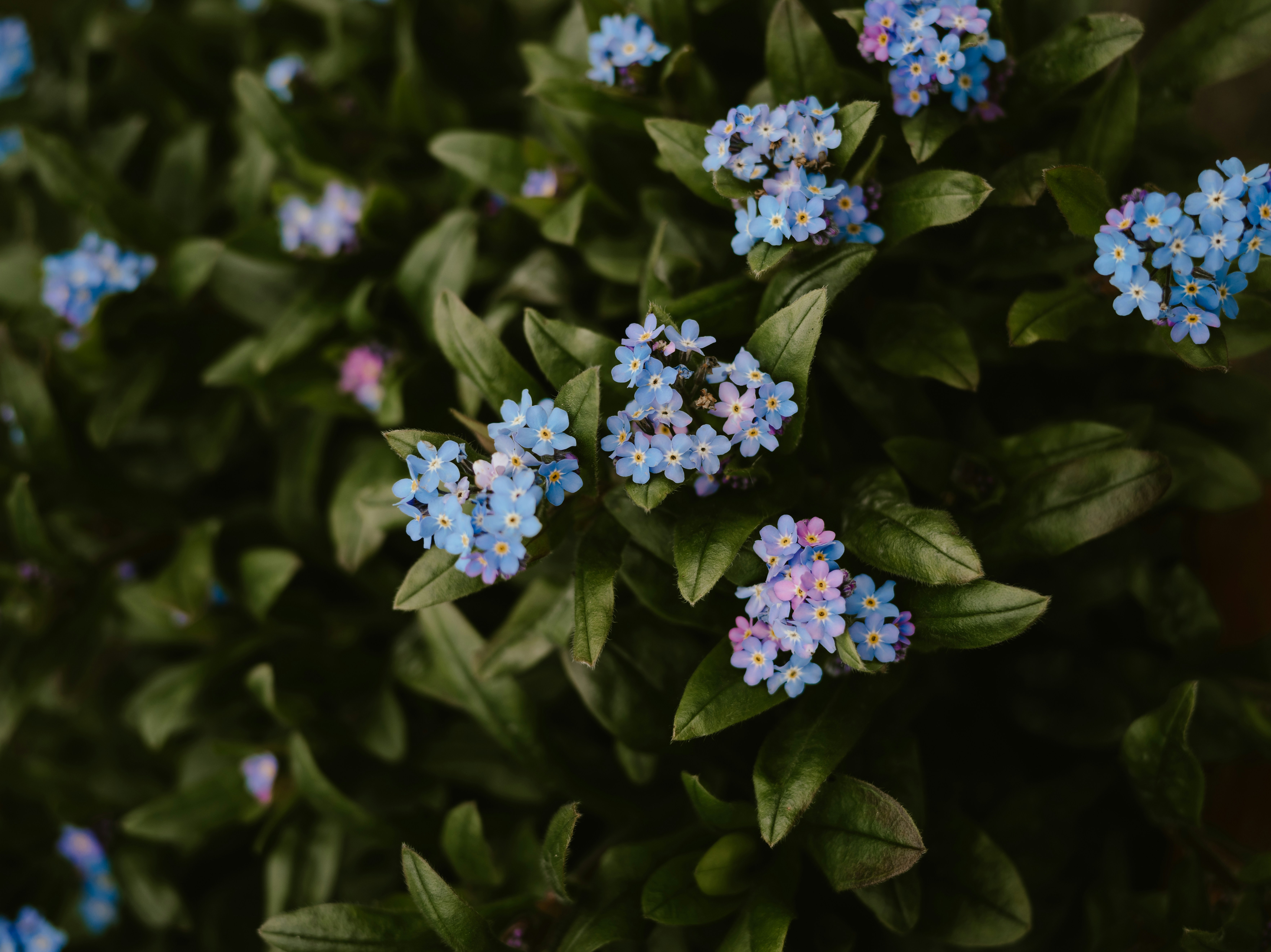 Photo by anniespratt