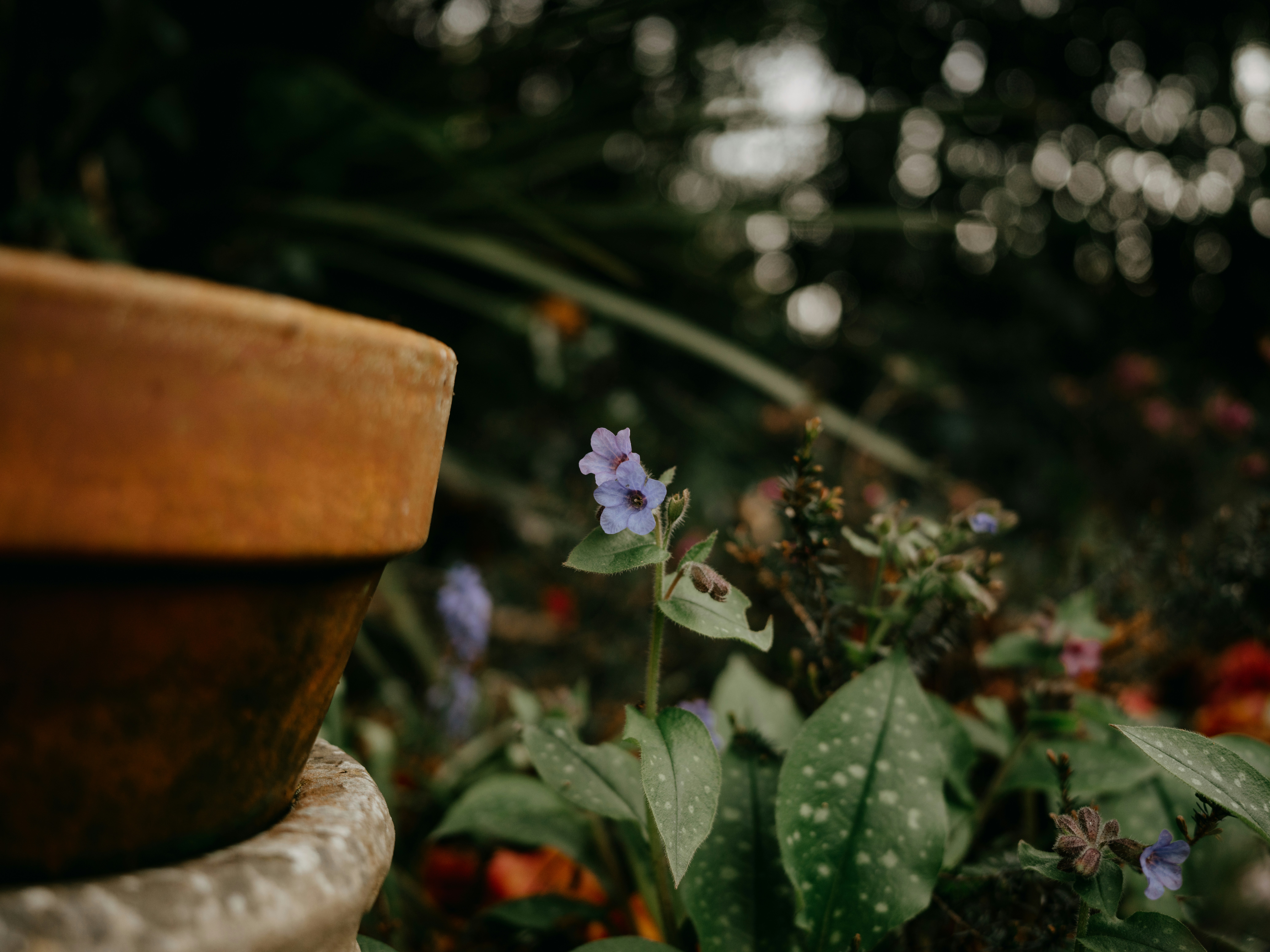 Photo by anniespratt