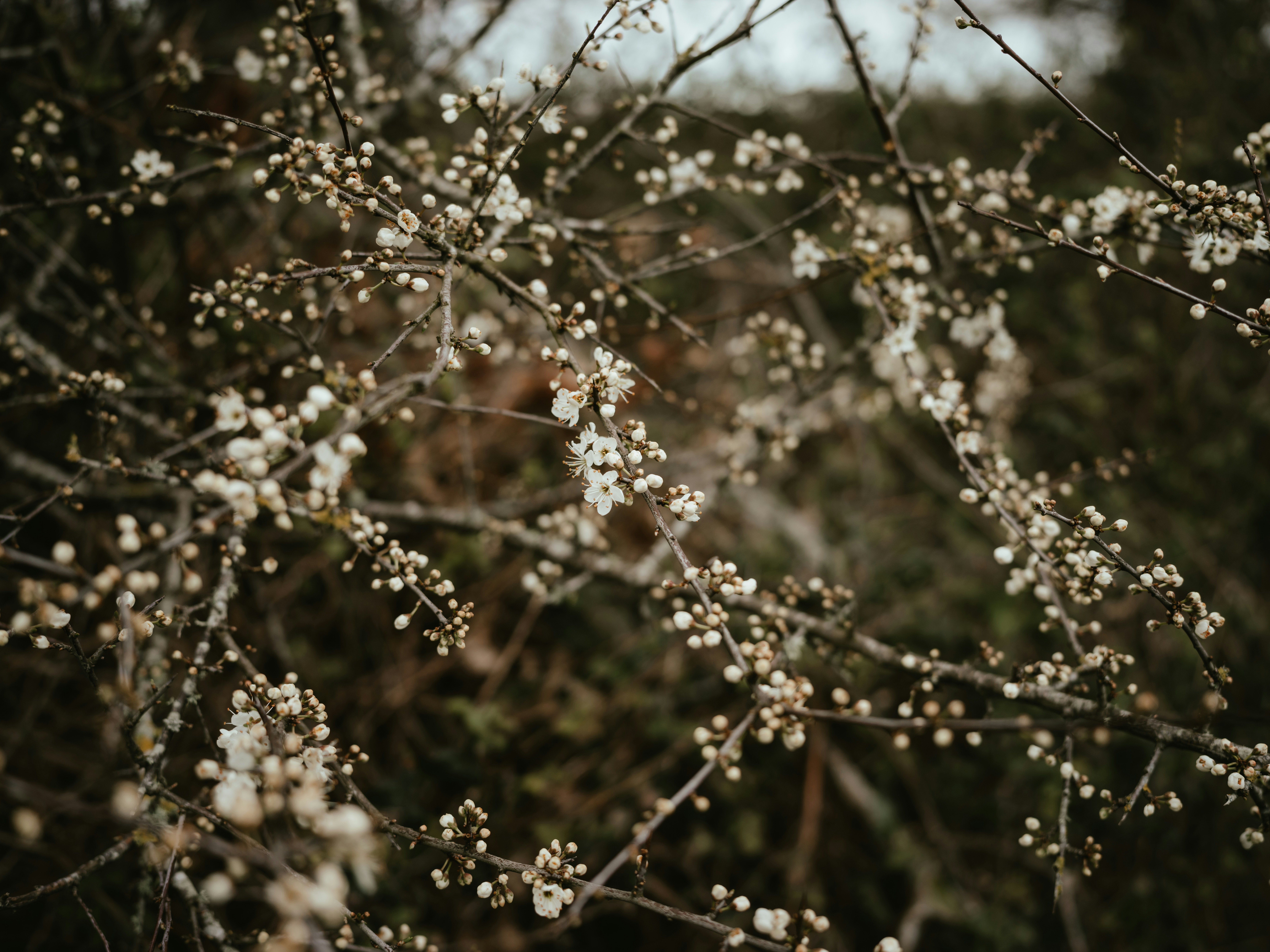 Photo by anniespratt