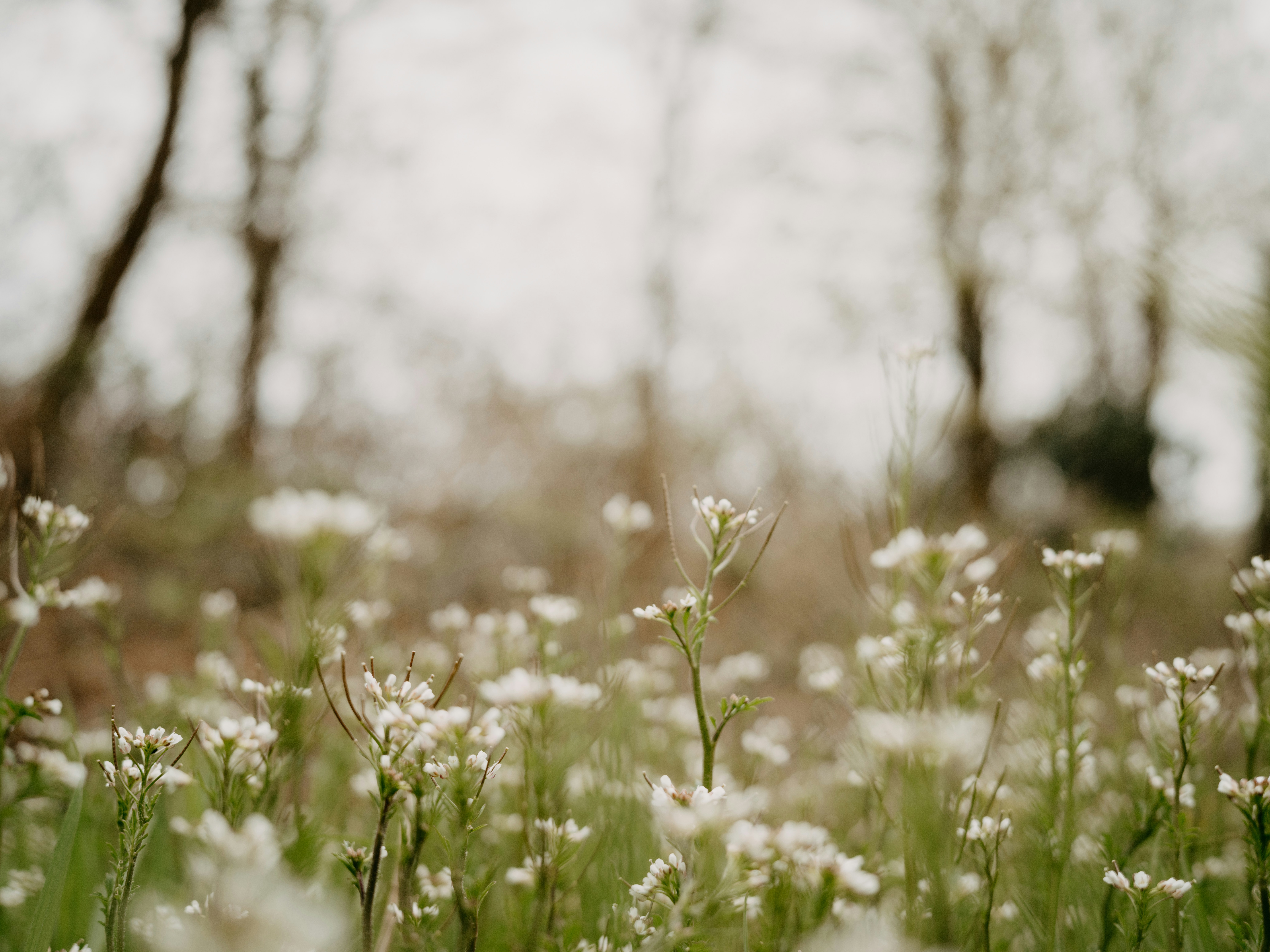 Photo by anniespratt