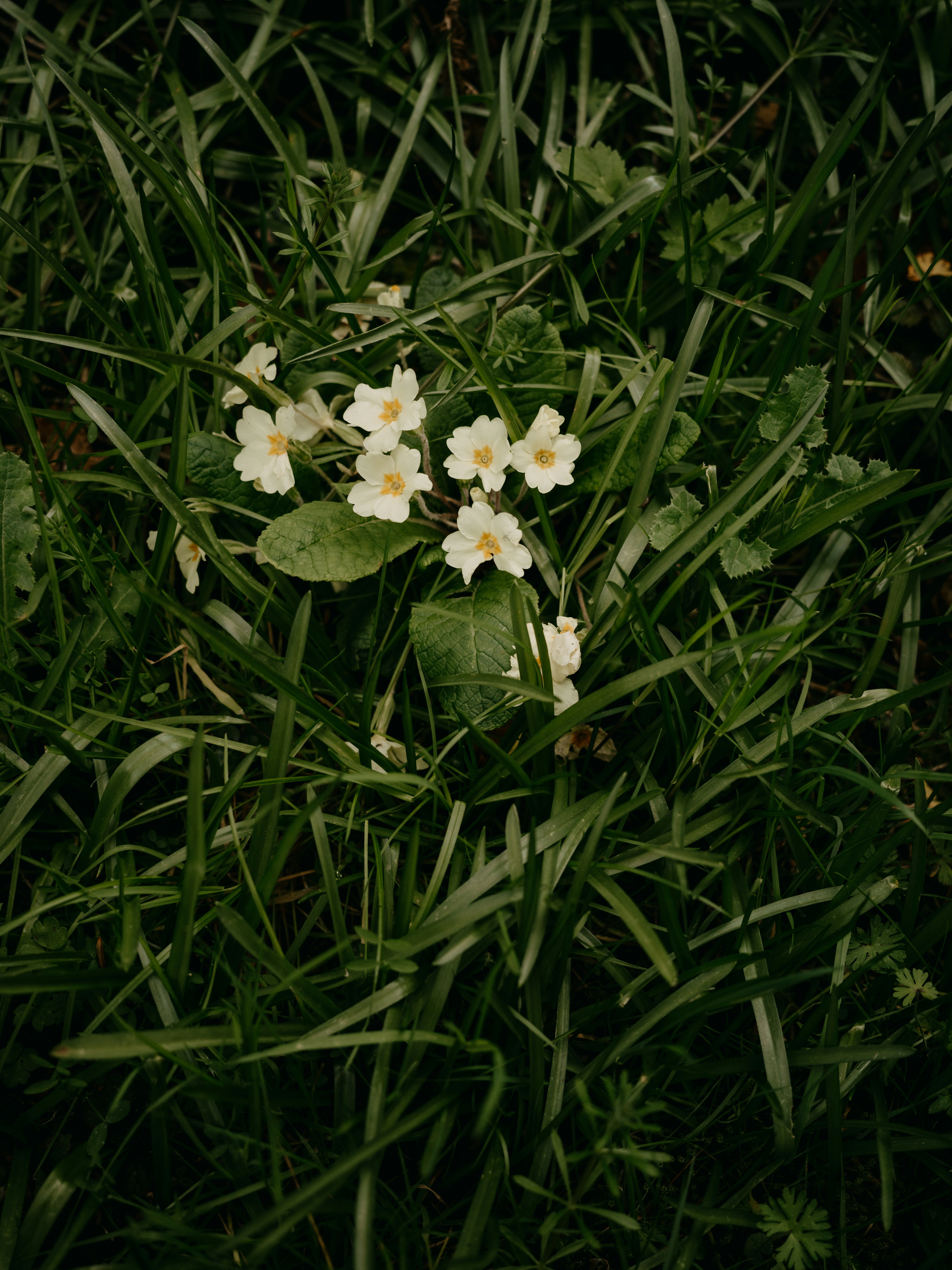 Photo by anniespratt