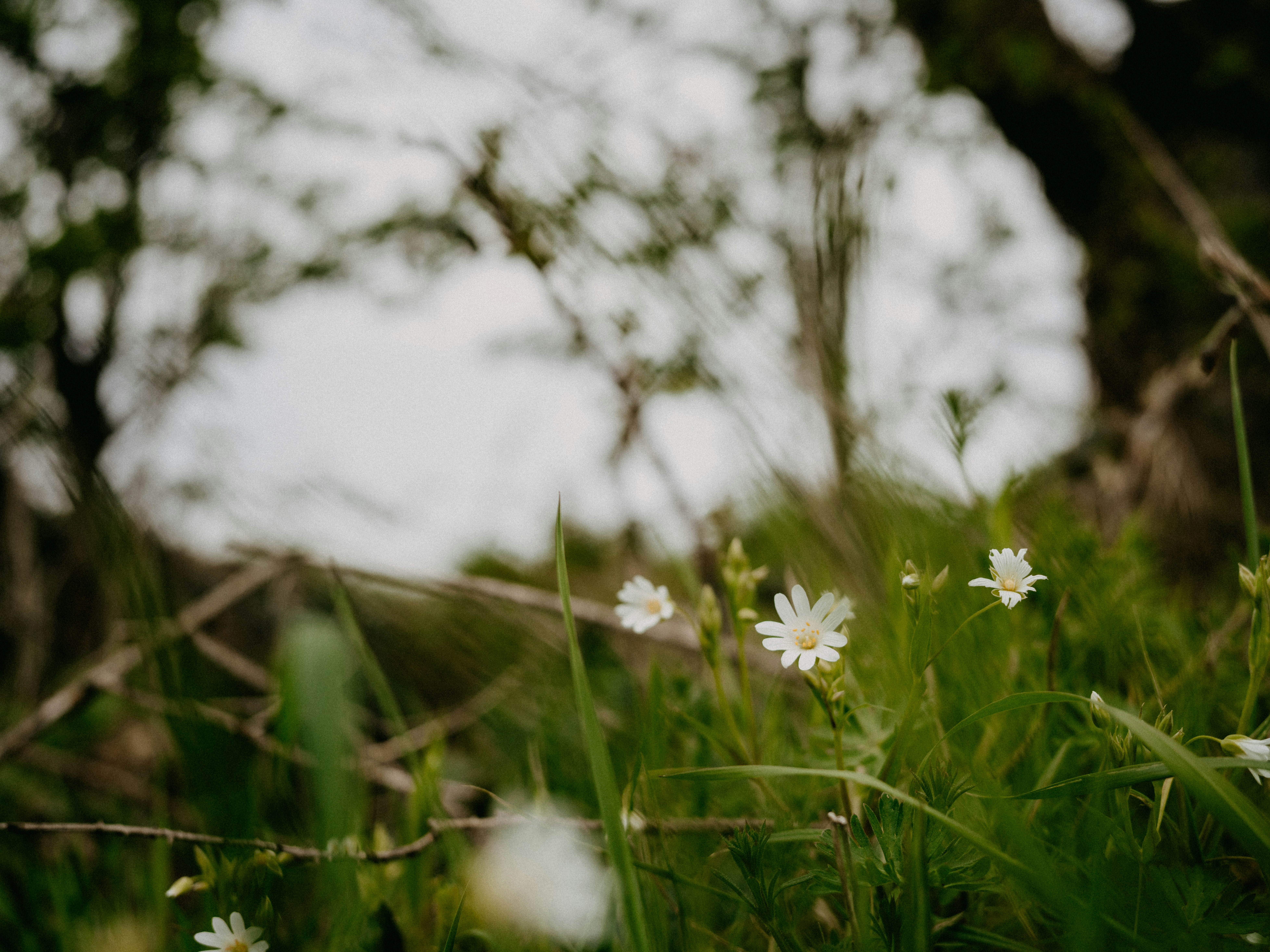 Photo by anniespratt