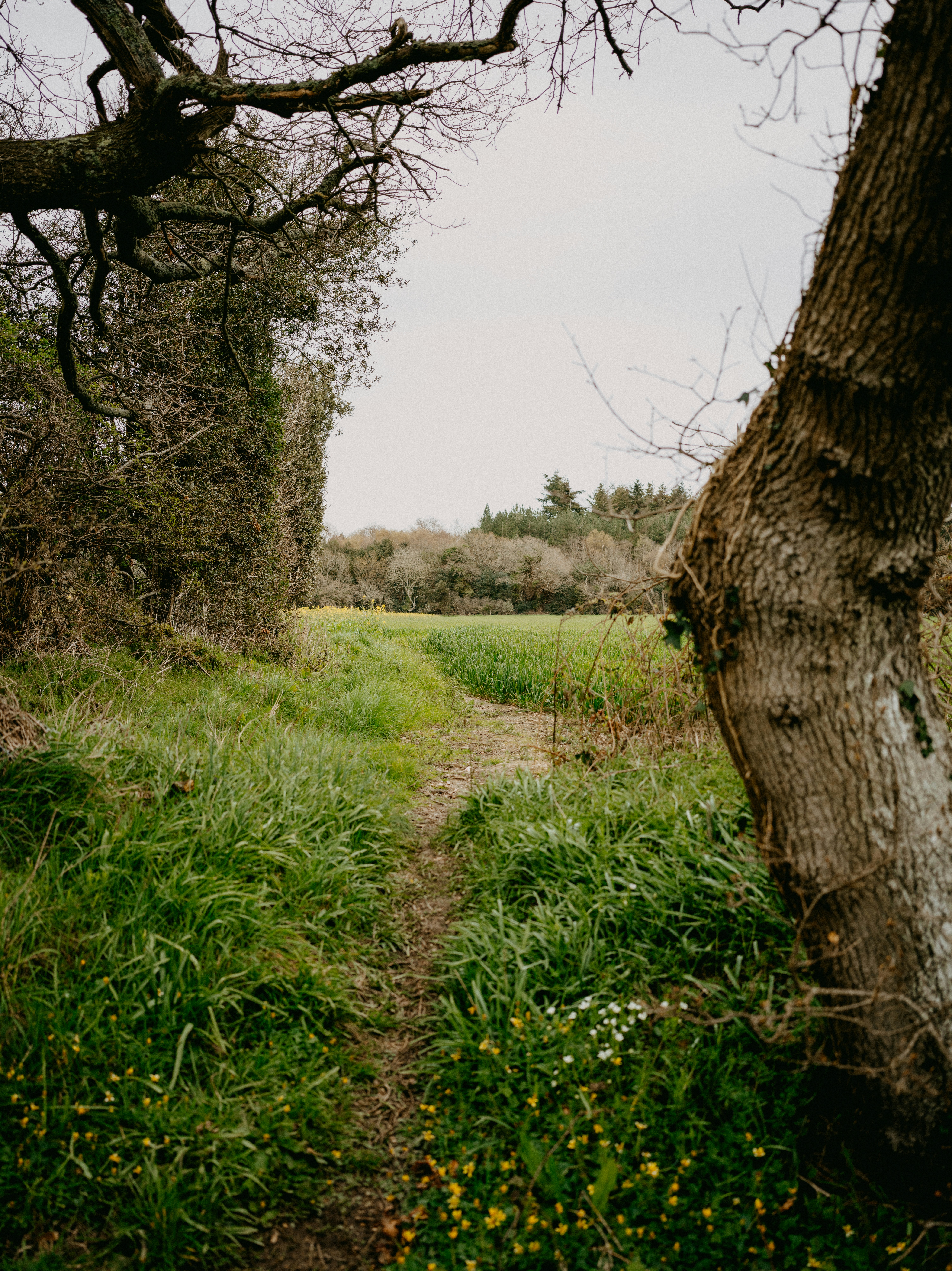 Photo by anniespratt