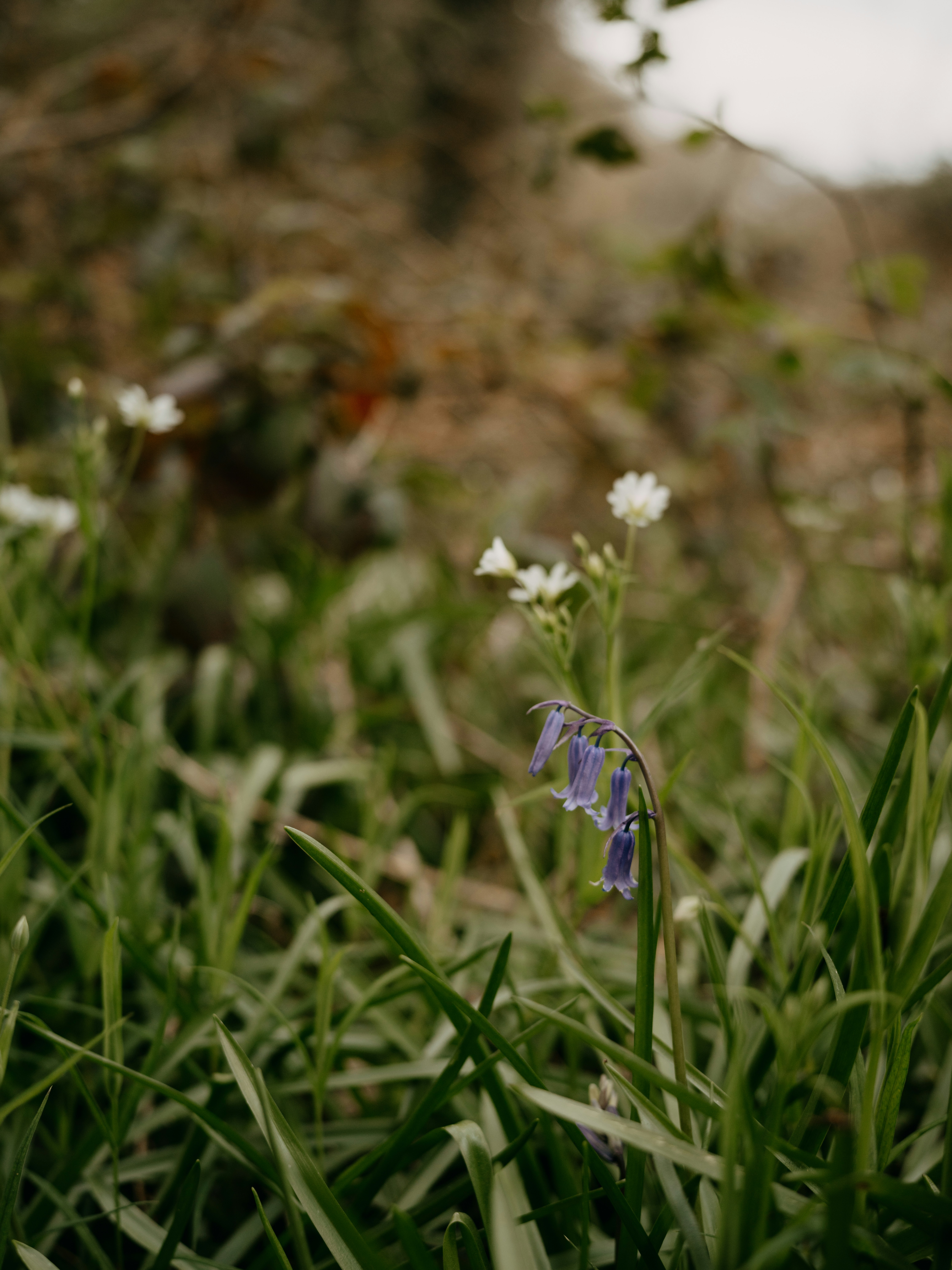 Photo by anniespratt