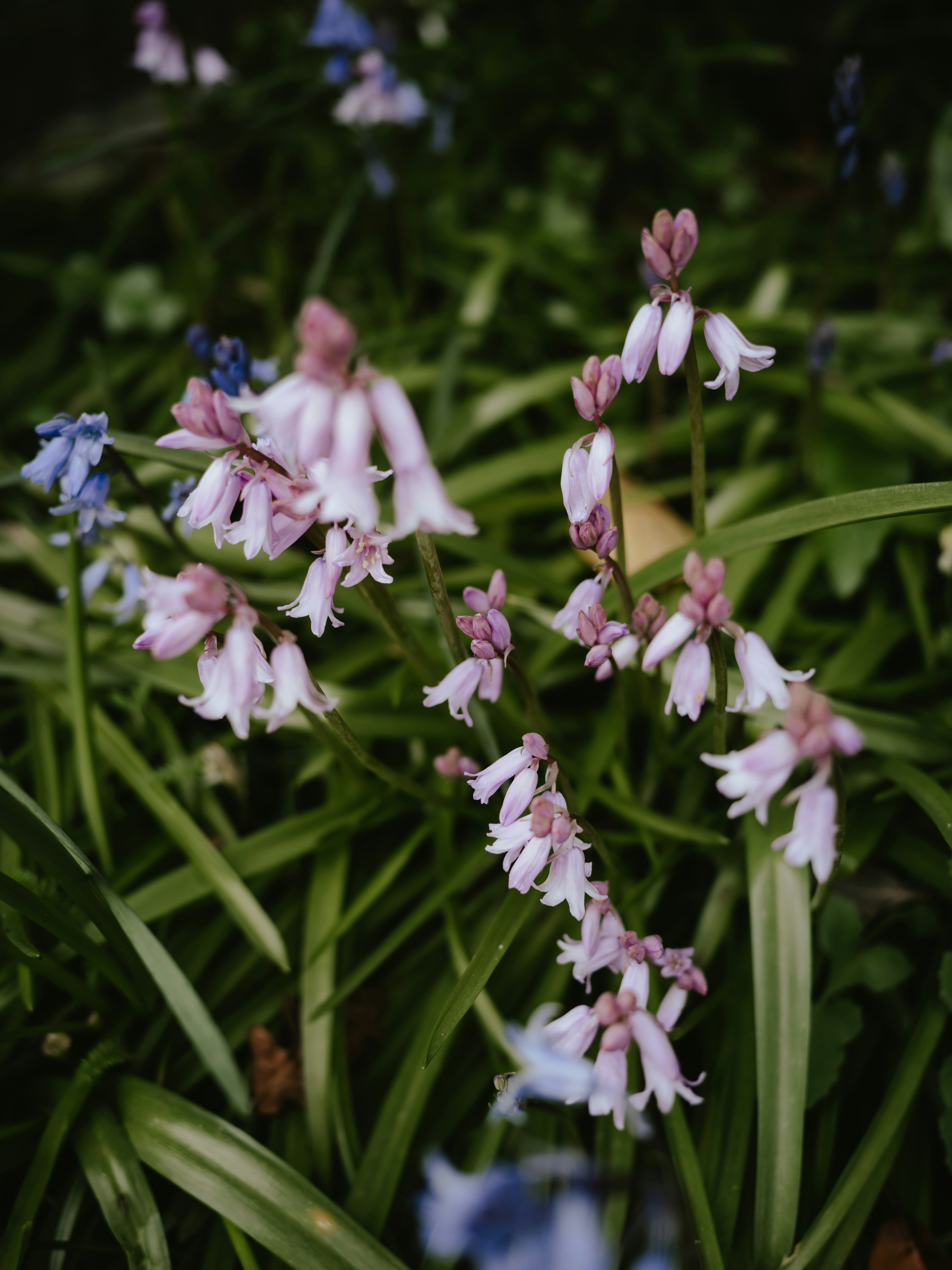 Photo by anniespratt