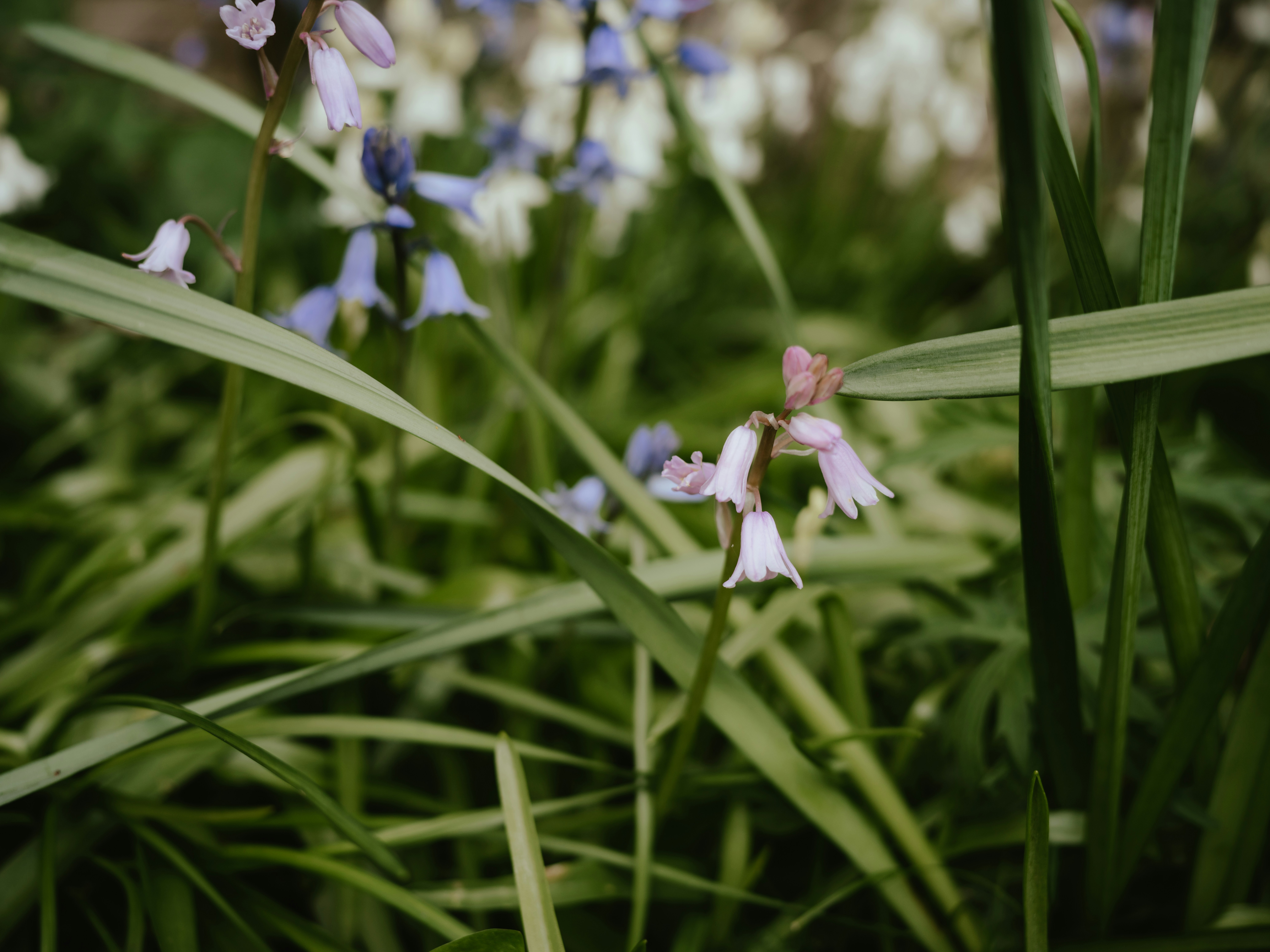 Photo by anniespratt