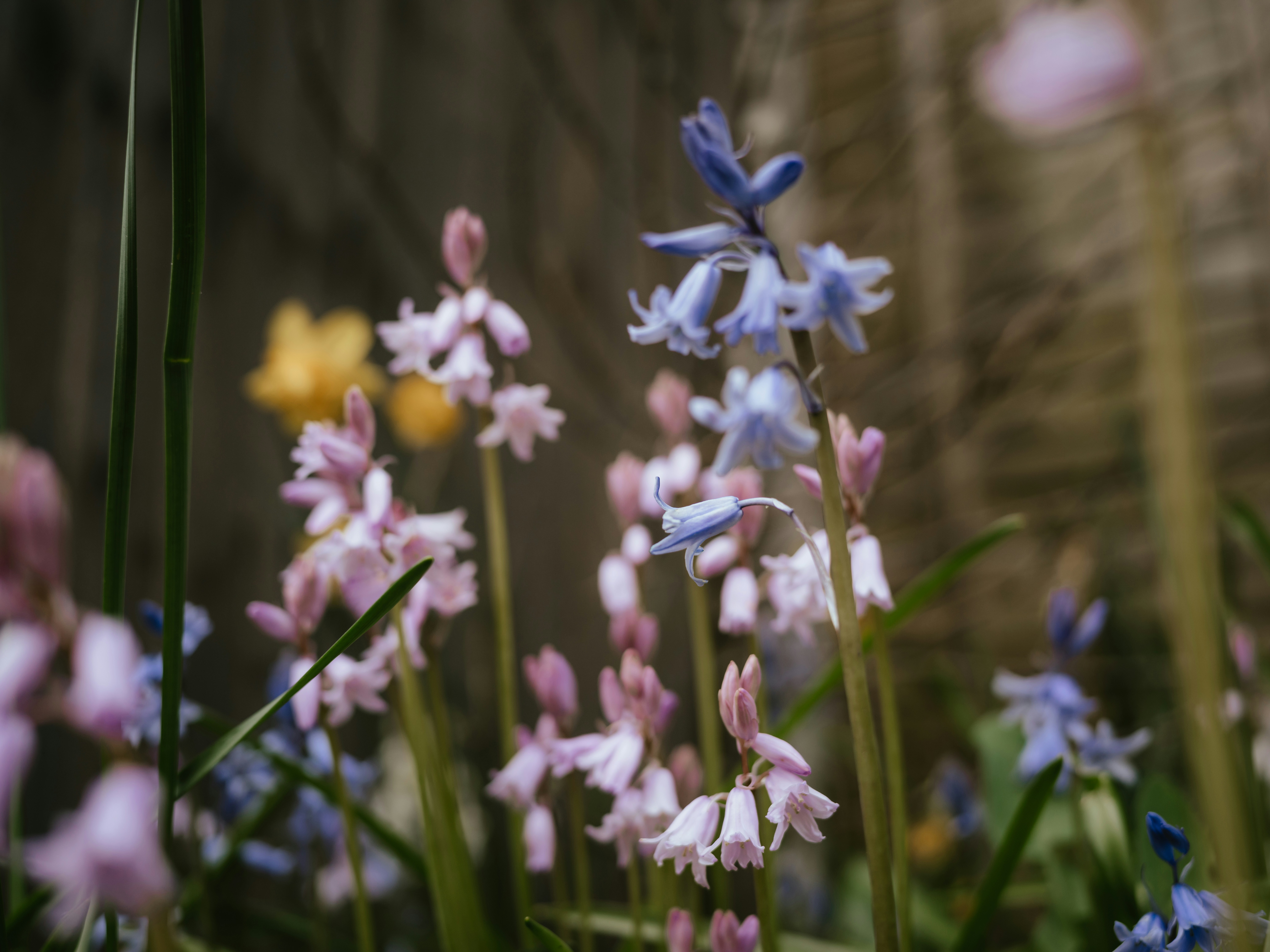 Photo by anniespratt