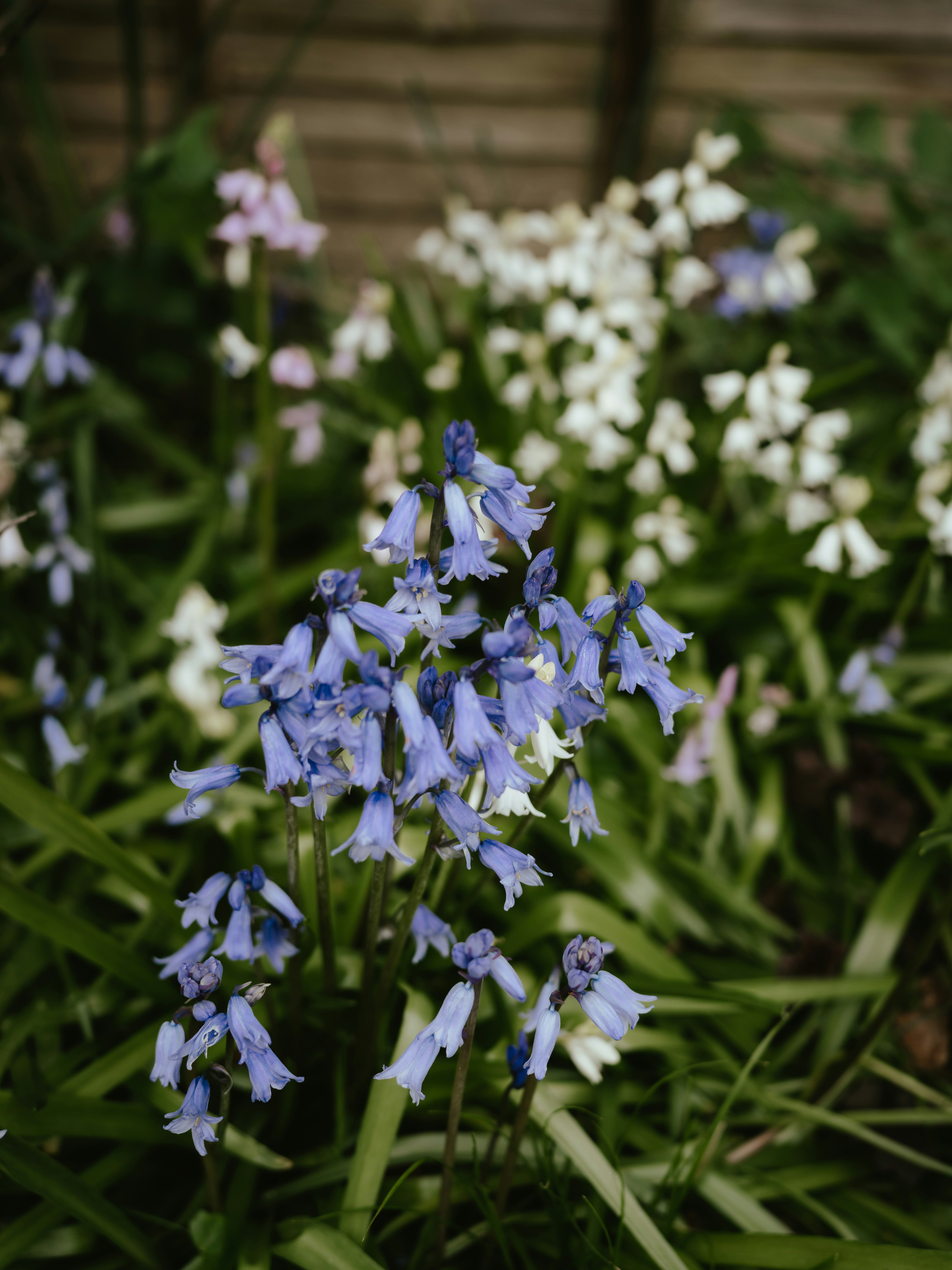 Photo by anniespratt