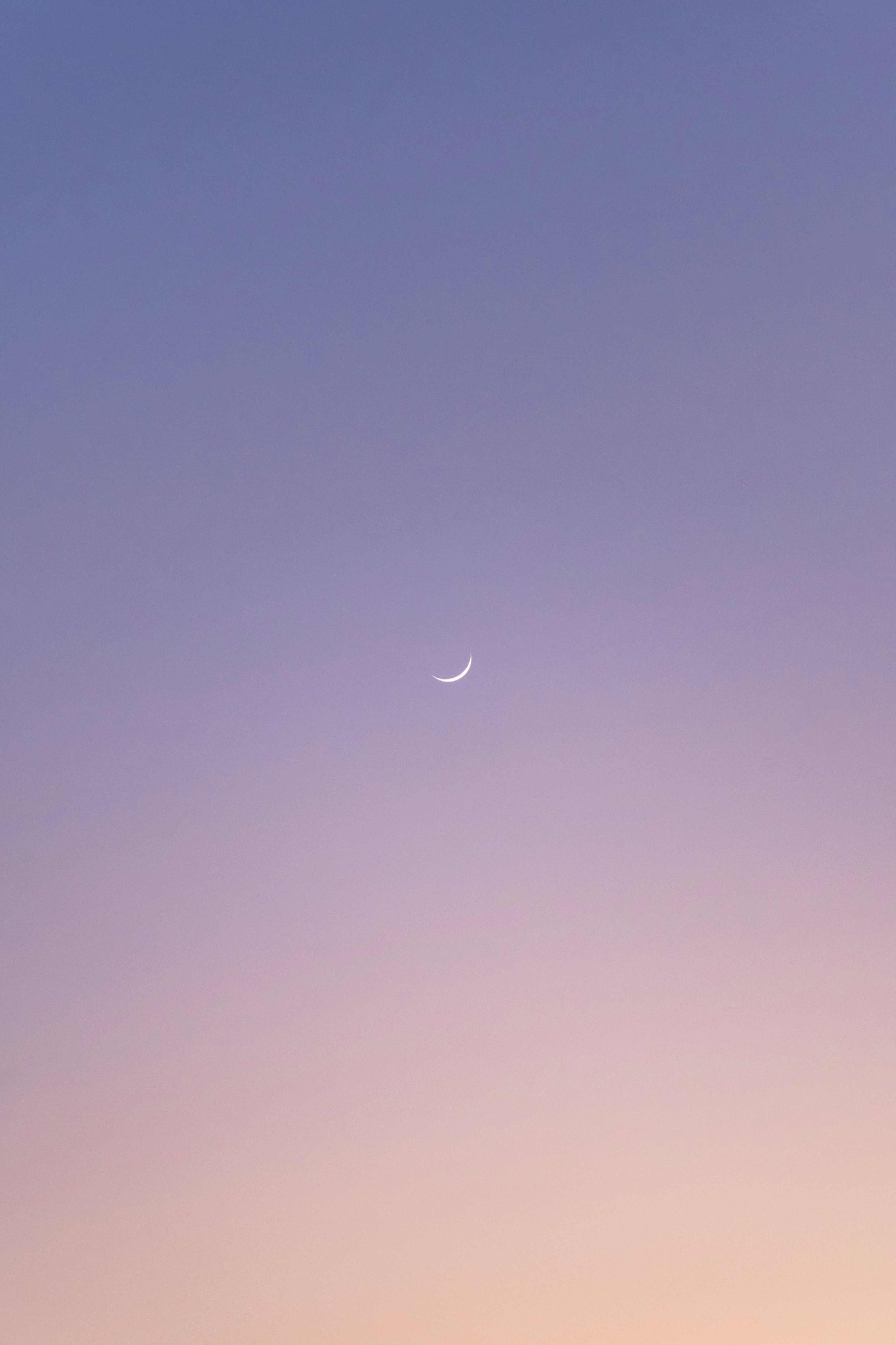 Photo by ravioli1369