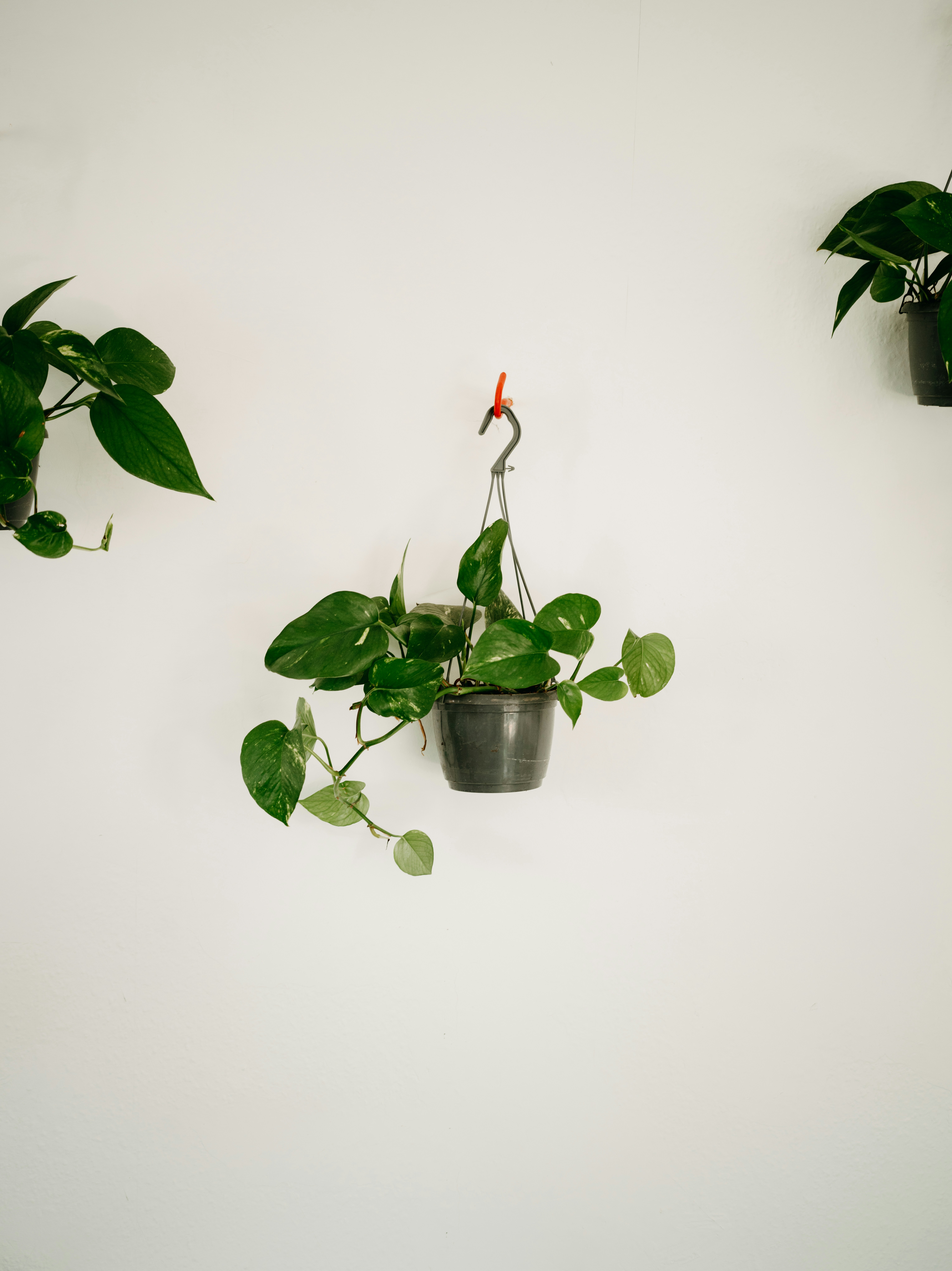 Photo by anniespratt