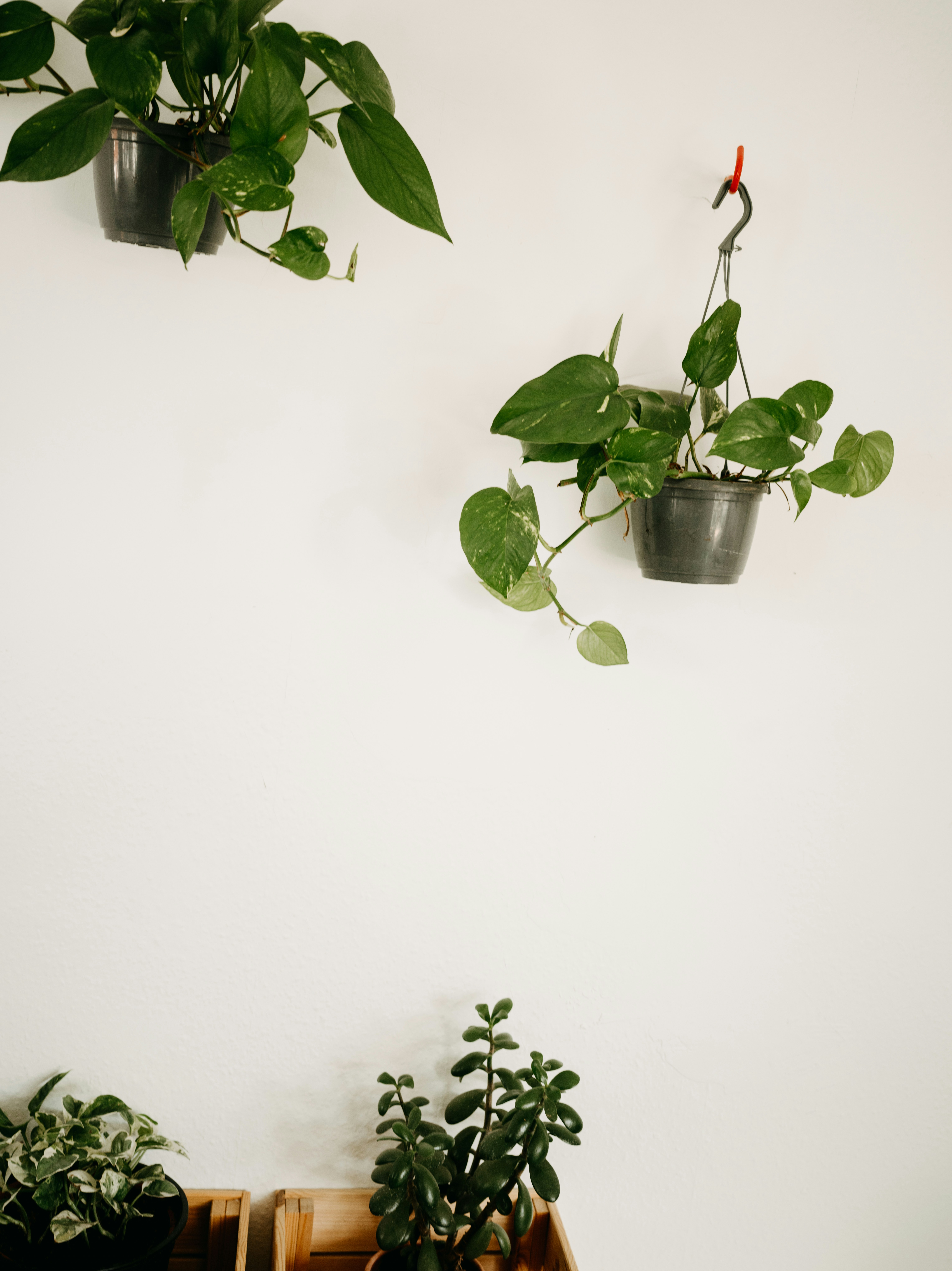 Photo by anniespratt