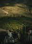 a car driving down a road next to a lush green hillside