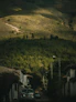 a car driving down a road next to a lush green hillside