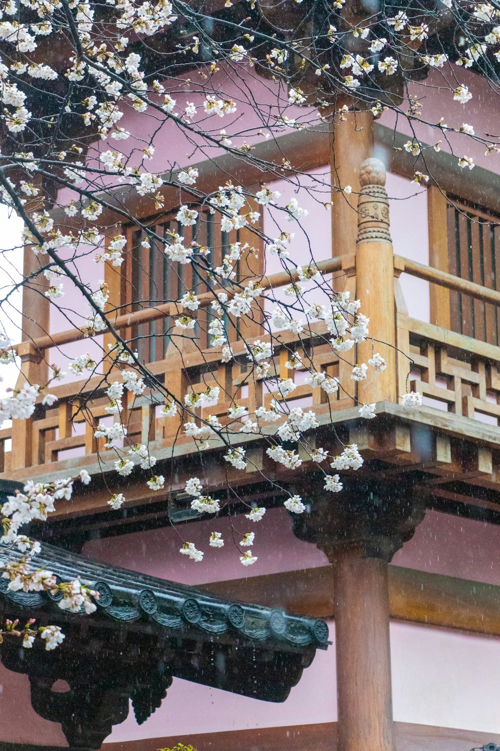 a building with a balcony and a tree with white flowers