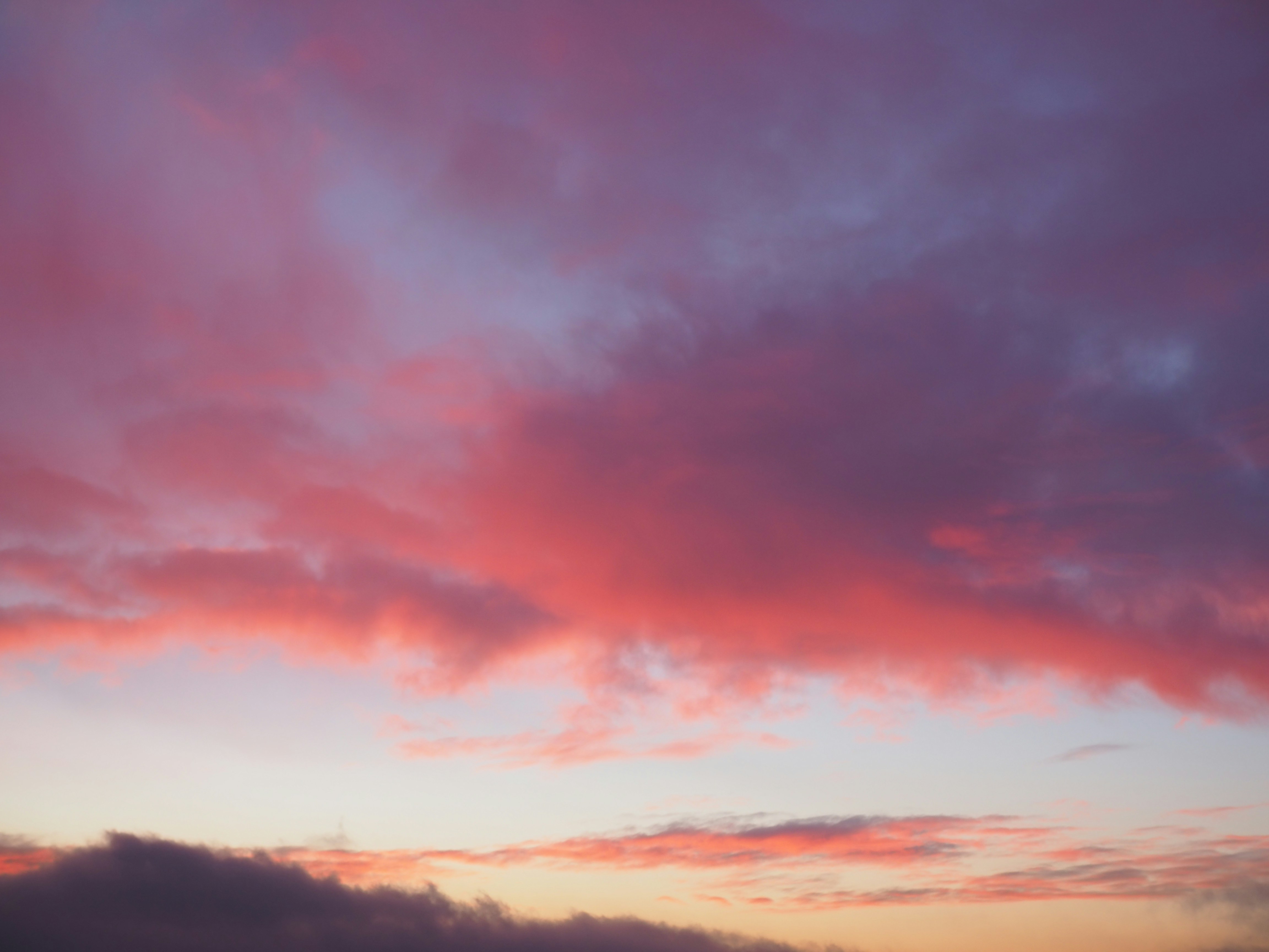 Photo by roar_skotte