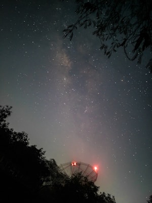 A star-filled night sky with a prominent Milky Way band stretching across the center. Silhouetted foliage and branches frame the top and sides, while the bottom part features a large radio telescope dish illuminated with red lights, creating a stark contrast against the sky.