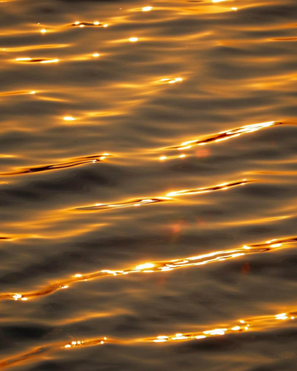 a close up of a body of water at sunset