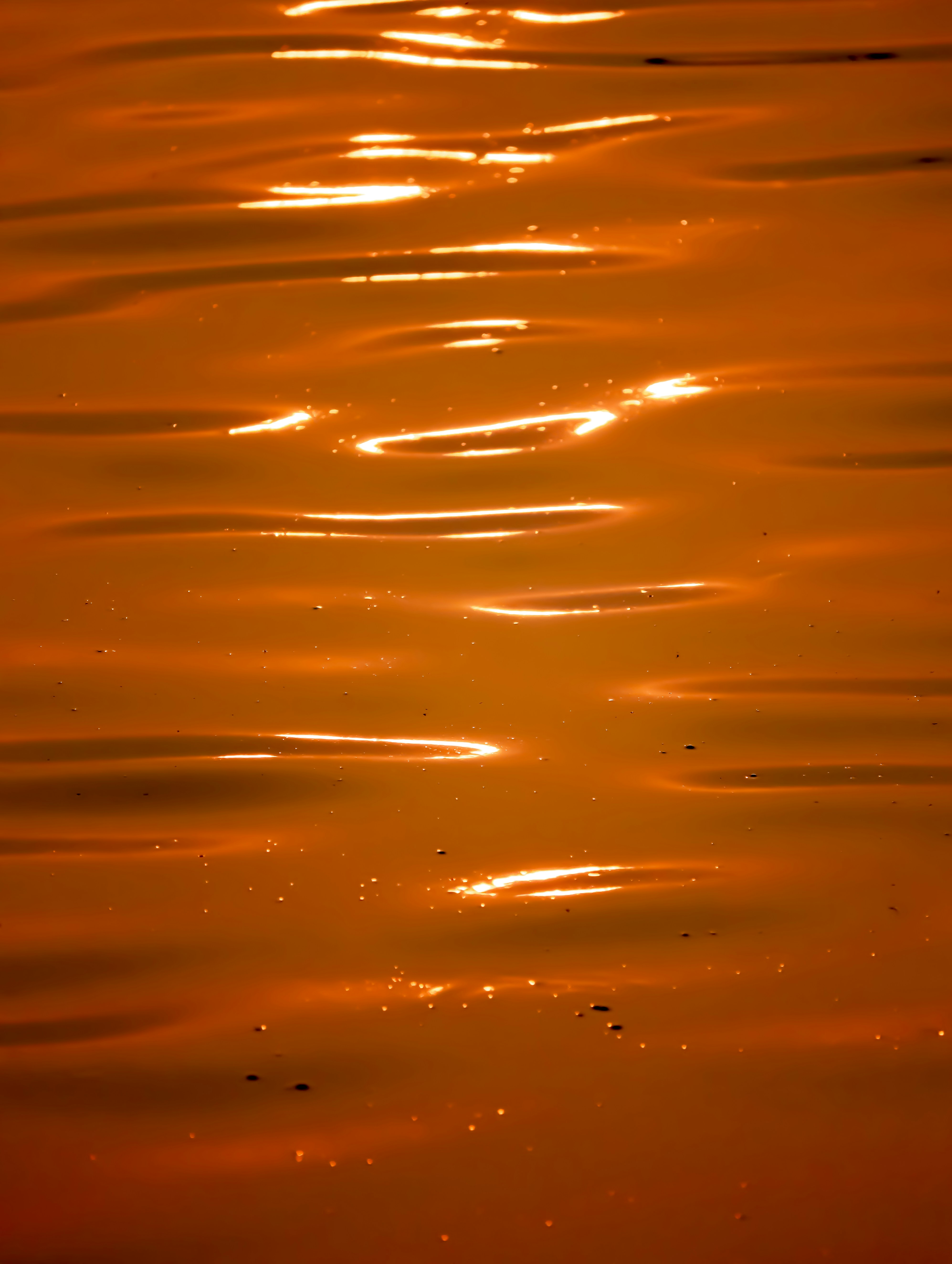 Photo by rohitsharma1785