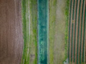 An aerial view of a landscape showcasing a narrow blue-green waterway flanked by fields. To the left, a plowed field features dark brown soil with a textured surface. The adjacent field on the right is striped with rows of green crops, adding a rhythmic pattern to the scene. In between, a grassy strip separates the areas, contributing to the patchwork of colors and textures.