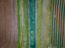 An aerial view of a landscape showcasing a narrow blue-green waterway flanked by fields. To the left, a plowed field features dark brown soil with a textured surface. The adjacent field on the right is striped with rows of green crops, adding a rhythmic pattern to the scene. In between, a grassy strip separates the areas, contributing to the patchwork of colors and textures.