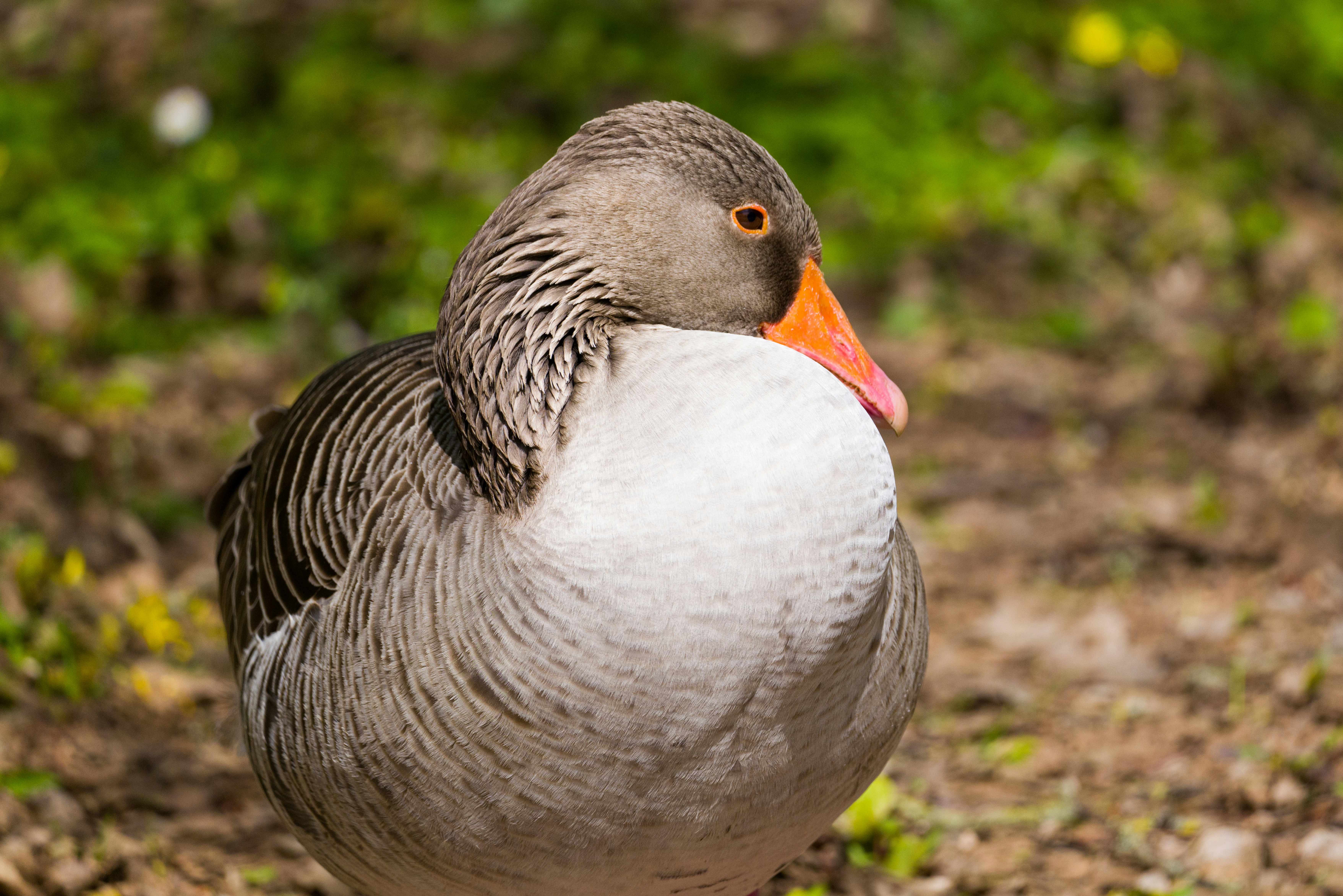 Photo by georgeiermann