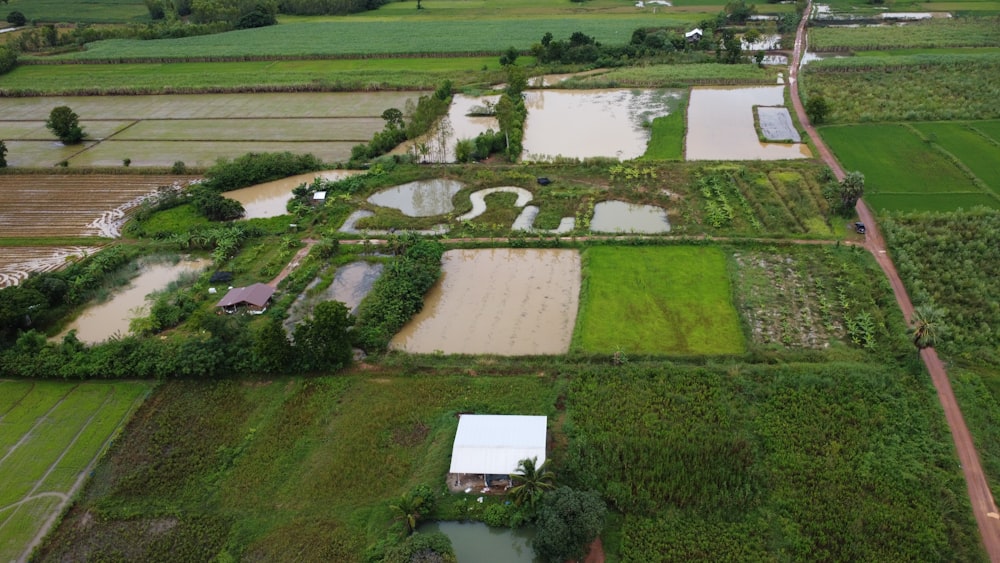 an aerial view of a rice field with a lot of water