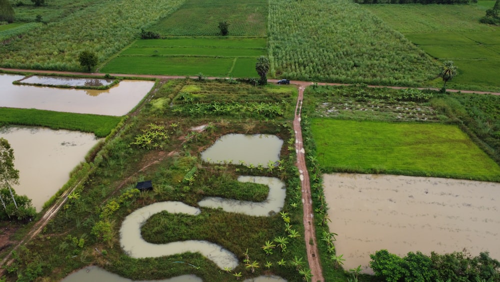 an aerial view of a rice field with a lot of water