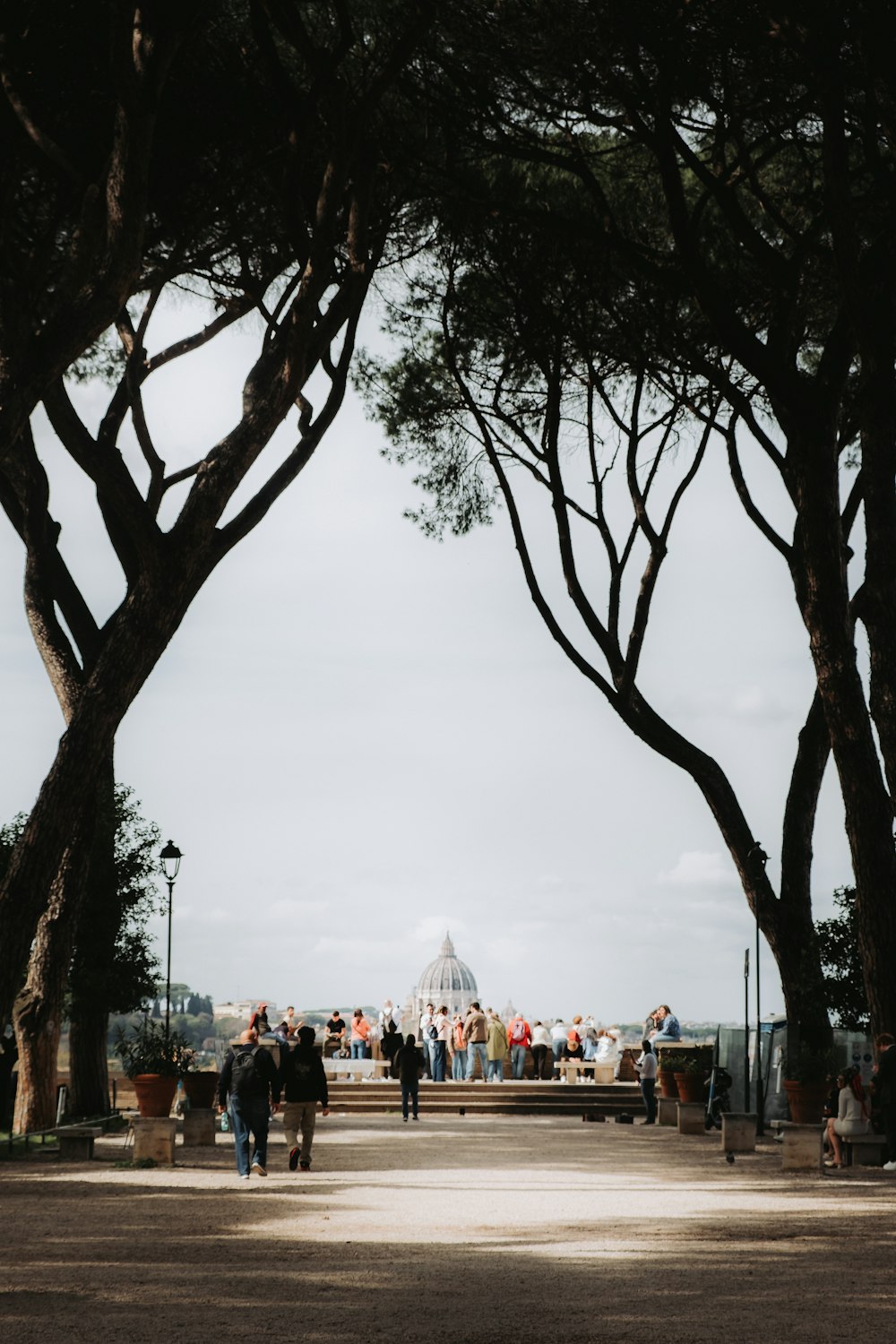 a group of people walking through a park next to trees