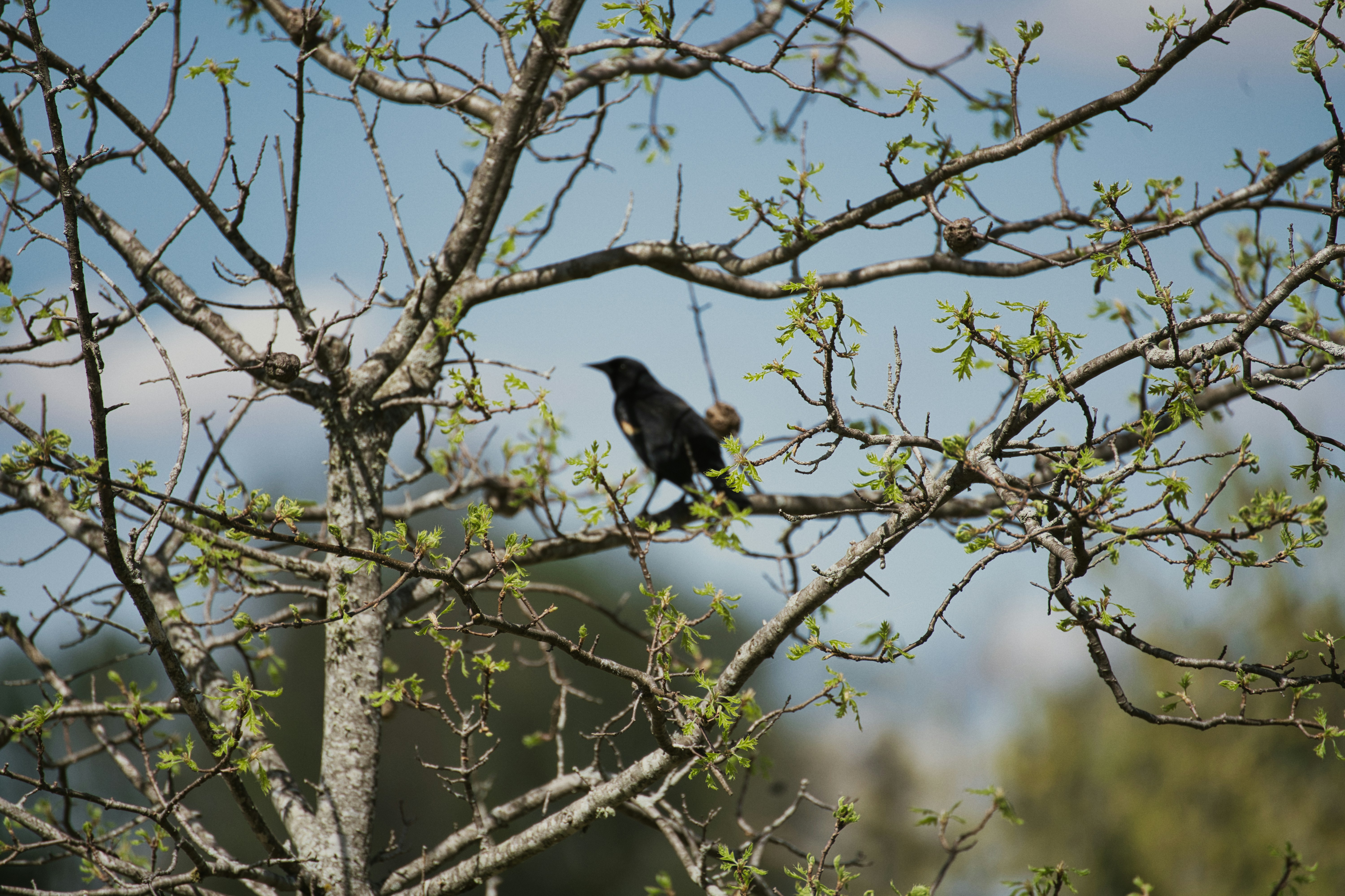 Photo by potato_traveler